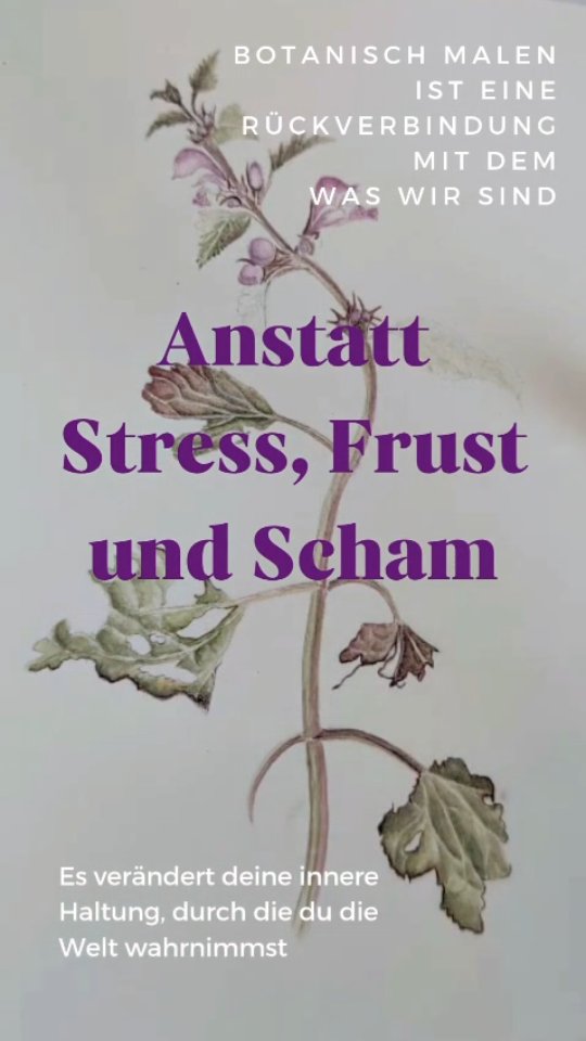Wir machen es kompliziert, weil wir Angst haben, dass das Simple nicht ausreicht.
So haben wir uns über Jahrzehnte ein Konstrukt von Getriebenheit aufgebaut, die uns in Stress, Frust und Scham darüber, all dem nicht gerecht zu werden, festhalten.
Du kannst diese Mauer durchbrechen.
Das Leben sagt uns nie, dass wir nicht gut genug sind.
Es sagt uns auch nicht, wir sollen noch mehr Druck und Stress aufbauen.
Durch das botanische Malen nach Alexander von Humboldt lernst du Ursprüngliches wieder wahrzunehmen und dich mit dem zu verbinden, was du bist.
Es entsteht eine innere Haltung, die die deine Wahrnehmung verändert, durch die du die Welt siehst.
Dein bewegen durch die Welt wird sich verändern.
💚
Ein Weg, den wir miteinander gehen.
Er beginnt mit dem ersten Kurs.
Wenn du willst, schon morgen.
Online Kurs der Pingere Vita Werkstatt
Botanisch Malen nach Alexander von Humboldt.
8 Termine, je 1,5 Std
#innererfrieden
#lebensführung
#geisteshaltung
#botanischmalen
#10von10showuprevolution