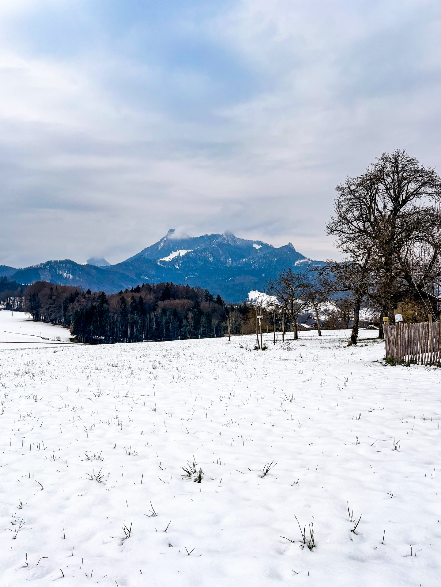 In der Früh aus dem Fenster geschaut und alles weiß – ja mei, der April macht bei uns halt, was er will. ❄️☀️ Schnee im April ist für unsere Lage gar ned so unüblich. Heuer werden die Ostereier wohl eher im Schnee als im Gras gesucht. 😅🐣🥚
Für unsere Wiesen ist der Schnee aber eigentlich a Segen: Er schmilzt langsam, das Wasser kann schön in den Boden einsickern und geht nicht verloren wie oft bei starken Regenfällen. 🌱💧 Der erste Schnitt verschiebt sich dadurch zwar wahrscheinlich a bissl nach hinten, aber die Natur holt sich ihre Zeit – und am Ende zählt, dass ein gutes Endresultat für eure Tiere rauskommt. 🐹🐰
Wie schaut’s bei euch aus – Schnee oder schon Frühling? 🌷❄️
Wir wünschen euch ein wunderschönes Osterfest! 🐣🌼
Euer Team vom Samerberger Heustadl 🌱