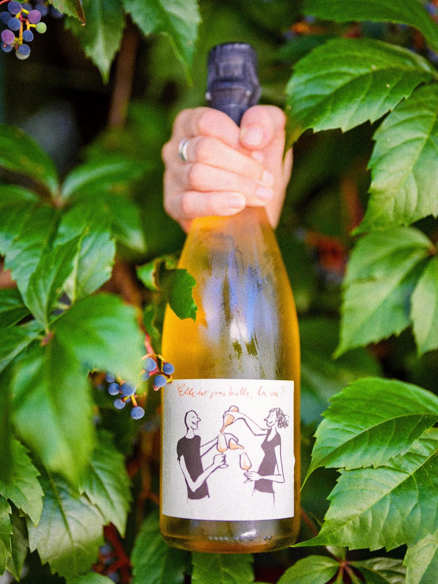 Elle est pas bulle la vie ?
Pet nat de Loire proposé par Catherine et Pierre Breton.
Aïe aïe aïe on émoustille nos papilles et on en redemande !
📷 @yazoupic
#annecy #bistro #restaurant #restaurantannecy #raisin