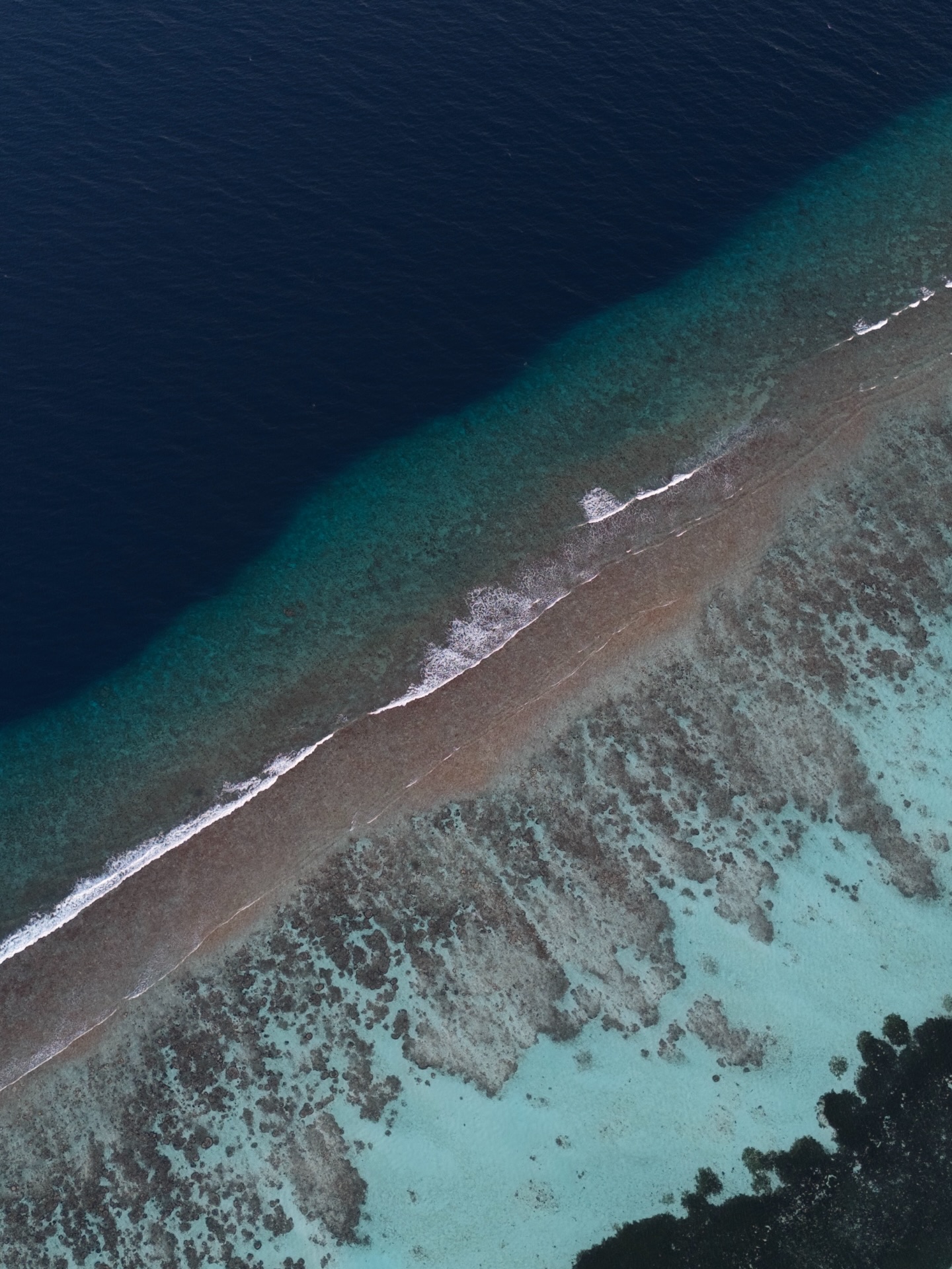 Encore les vues magnifiques des Maldives ! 🏝️
#maldives #dhigurah #sea