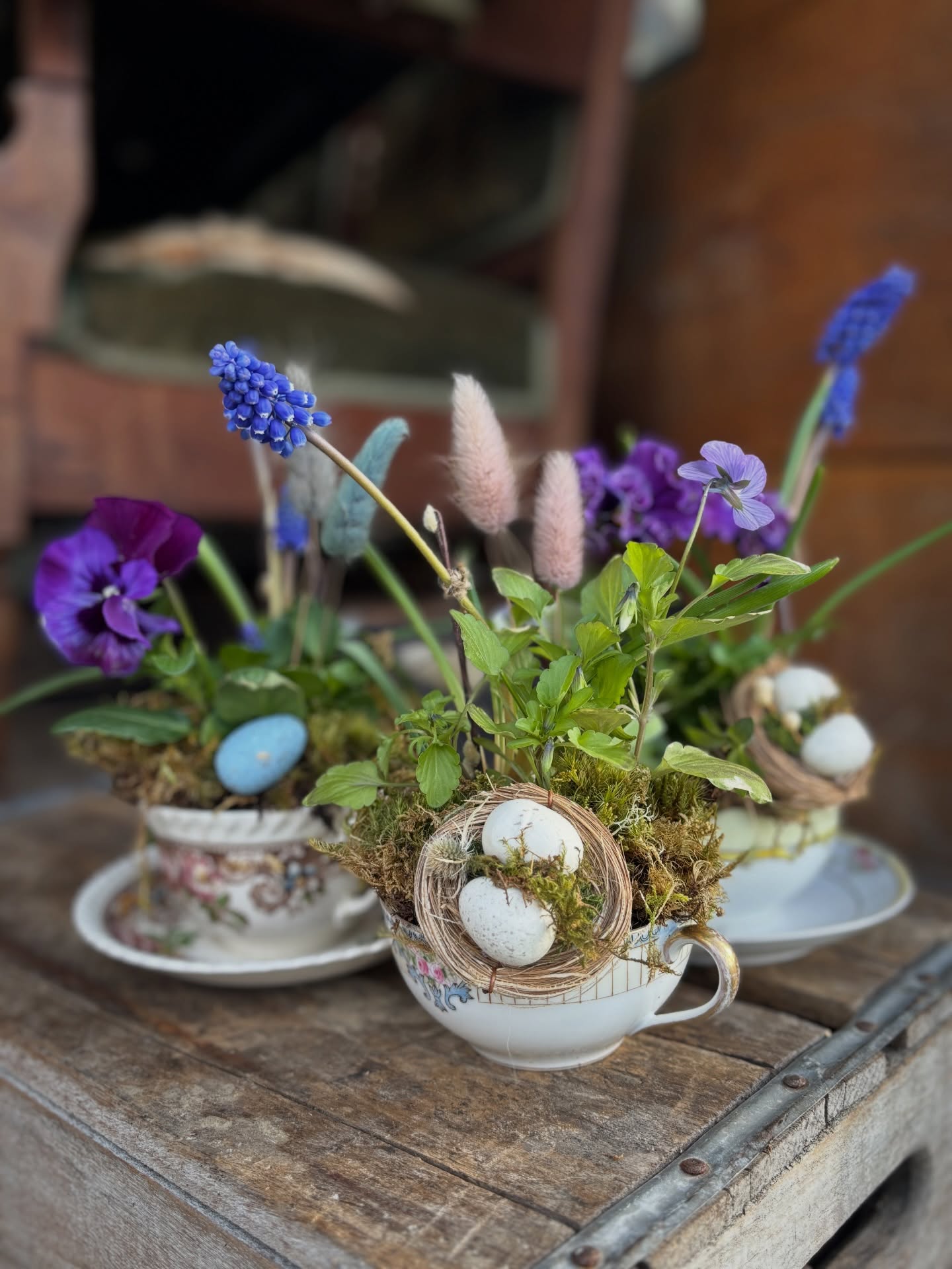 Teacups of Spring, that's what we have here. Vintage teacups filled with Violas, Pansies, Grape Hyacinth, Moss and...little eggs.
$35, Made to order or while supplies last at the Floriculture Flower Truck (at the micro farm).
Visit the website to purchase or the truck!
Venmo/Cash/Card (online)
