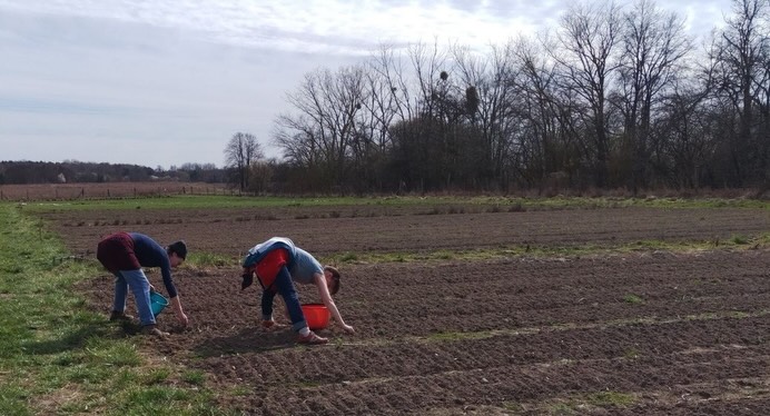 About yesterday: noch ein paar Eindrücke von unserer Zwiebelsteckaktion gestern. Ein Dank geht raus an alle Helfenden!