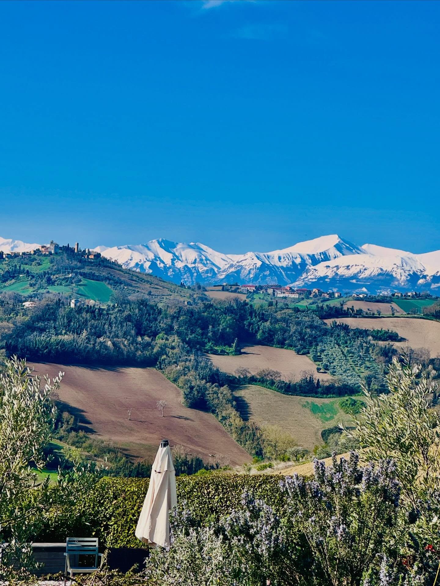 Marche from its magical side
After a few days of rain and thick gray clouds, we woke up to a wonderful morning. Sun, birdsong, and blue skies. The lawn is full of tiny white flowers, and in the background, the mountains stand tall with white peaks, as if Carina had painted them with Italian meringue.
Almost still, no Wind. A slight scent of herbs in the air, and our dearest friend Kito is having a birthday.
Thatâs life on the hill in Marche.
Buona Pasqua From Ruffino