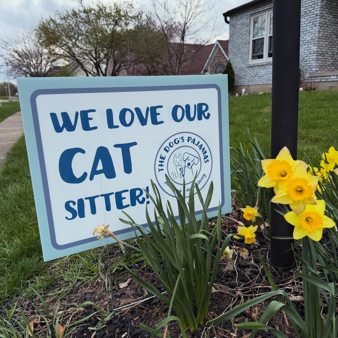 If you see our signs around town, just know those pets are living their best lives.
Seriously though, thank you for trusting us with your fur family. ❤️🐾
#catsitter #dogwalker #richmondindiana #centervilleindiana