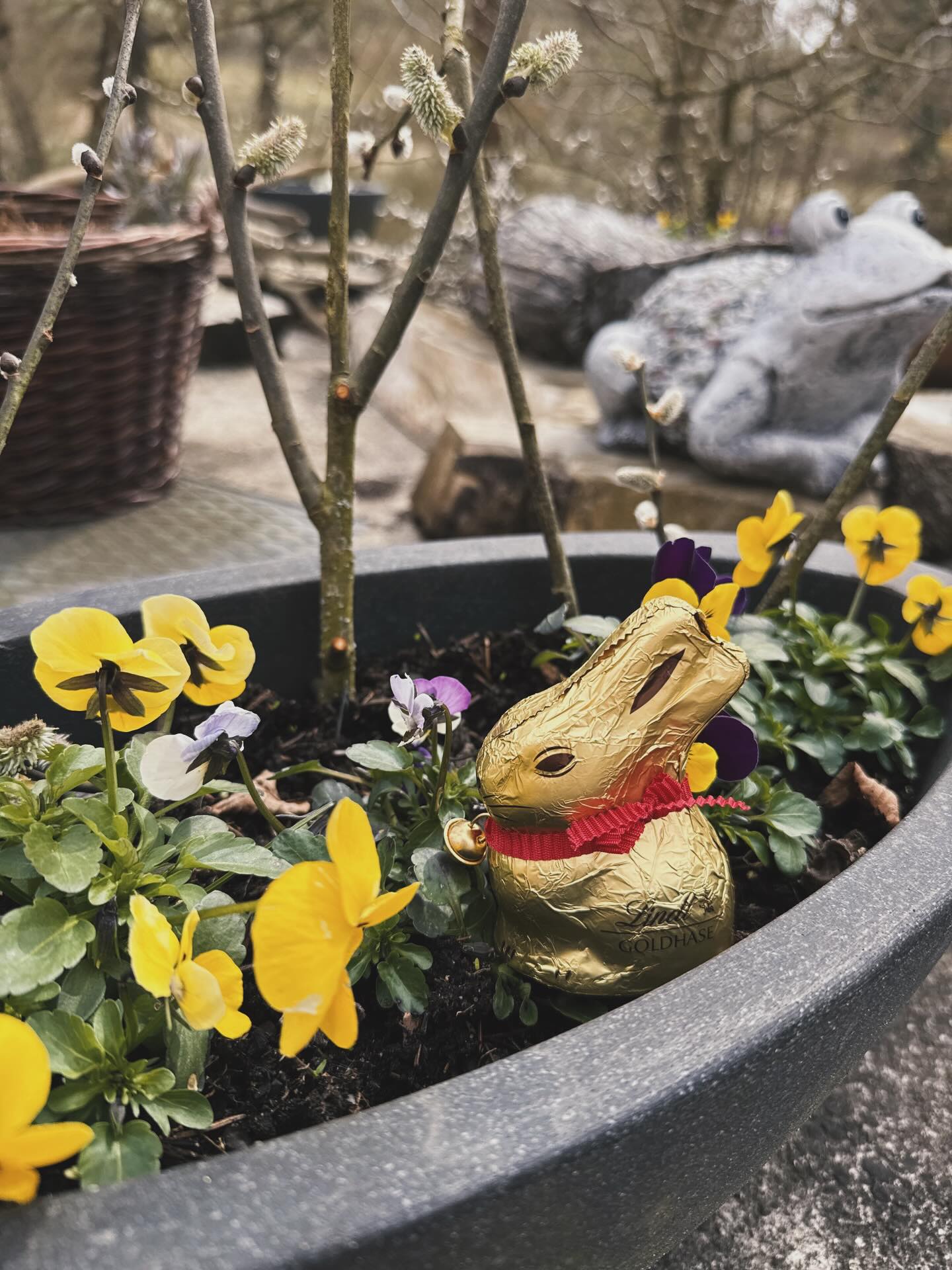 Wir wünschen euch frohe Ostern! 🥚🐣🌸🐰
Euer Team vom Vitaleum Waldkraft-Resort
#ostern #ostergrüße #ostern2026