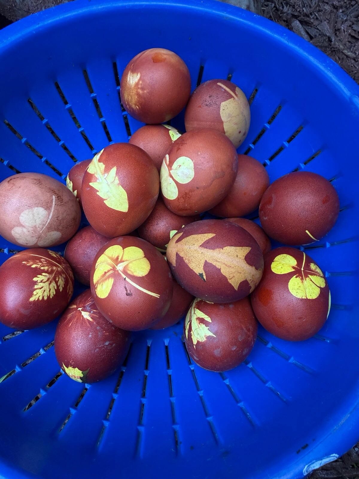 In den letzten beiden Wochen haben wir noch fleißig für die Osterzeit gebastelt. Wunderschöne Eier mit Zwiebelschalen wurden ausgekocht, Weidenkränze mit kleinen Küken aus Filzwolle wurden gebunden, Osterkränze für die Fenster ausgeschnitten und Ziehharmonika Hasen und Küken gefaltet 🐰🐣