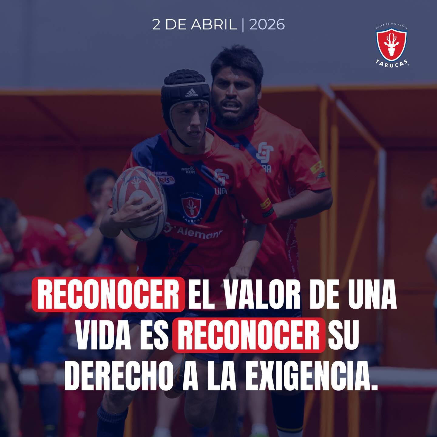 Hoy es 2 de abril, Día Mundial de Concienciación sobre el Autismo. Este año nos unimos al lema "Autismo y humanidad: toda vida tiene valor", y en Tarucas demostramos ese valor a través del deporte de alto rendimiento.
Para nosotros, reconocer el valor de una vida es reconocer su derecho a la exigencia. Aquí no hay etiquetas ni tratos especiales; solo deportistas dándolo todo en el muro, en la cancha o en el tatami.
No bajamos la vara, subimos el nivel de todos por igual.
El deporte nos une. Ser distintos nos hace fuertes.
#tea2026 #sinetiquetas #autismo #autismochile❤️💛💚💙