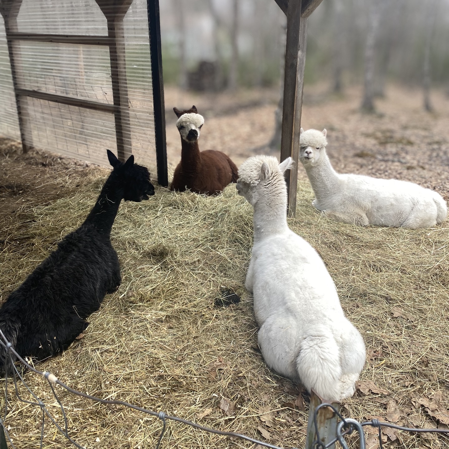 Team meeting.
#teammeeting #officevibes #watercooler #thursdayvibes✨