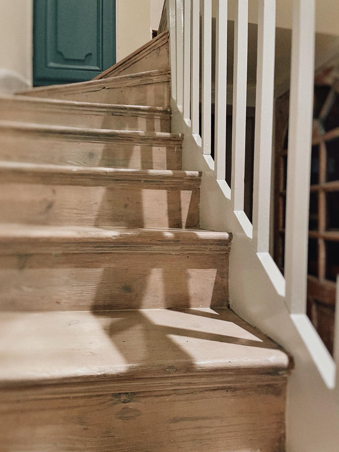 “Ben achieved the perfect balance between retaining the character of an old (listed) interior, and a stunning refresh. He totally rejuvenated the entrance hallway to our house, within his estimated timeframe, despite the massive amount of work that was required due to decades of neglect. The result is truly a magical transformation. I am so grateful to have found Ben.”
#montpelierdecoration #MontpelierPlace #montpeliermaker #themontpelierdecorator #cushionhappy handmade montpelier cushions floral floralcushions artisancushions vintagecushions vintagetextiles retrocushions interiordesign brightonmaker handmadecushions feathercushions statementcushions oneofakind Brighton brightonandhove catdads