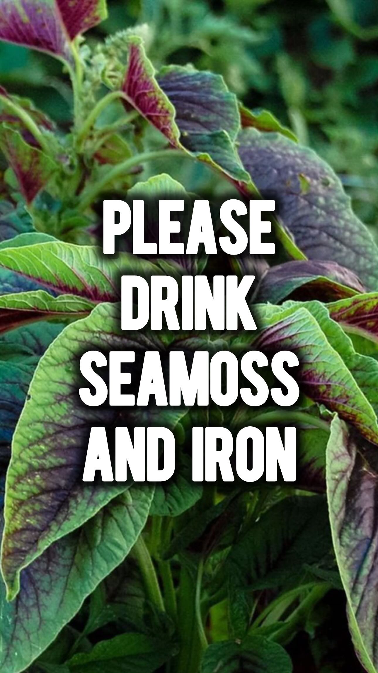 Seamoss and Iron is great for pregnant and breastfeeding mothers. #etlntd