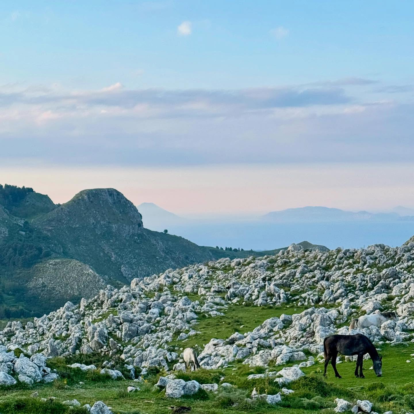 Turismo e Natura
Nebrodi Arké è profondamente legata al territorio e al suo straordinario patrimonio naturalistico. Dal cuore di Galati Mamertino, la nostra associazione promuove un turismo lento e consapevole, capace di immergere i visitatori nella bellezza autentica dei Monti Nebrodi. Tra i luoghi simbolo delle nostre attività spiccano le Cascate del Catafurco, una meraviglia naturale incastonata tra boschi incontaminati e paesaggi mozzafiato, meta ideale per chi cerca avventura e relax in un contesto unico.
Accompagniamo i nostri ospiti lungo percorsi suggestivi che attraversano faggete secolari, gole e sentieri panoramici, raccontando la storia e le leggende che rendono questo territorio così speciale. Ogni escursione ed evento è pensato per connettere i partecipanti alla natura, valorizzando il rispetto per l’ambiente e la biodiversità unica del Parco dei Nebrodi.
Nebrodi Arké vuole far vivere esperienze autentiche, trasformando ogni visita in un viaggio alla scoperta di un mondo dove il tempo sembra essersi fermato e la natura racconta storie antiche e affascinanti. 🏔️ 🏕️💚