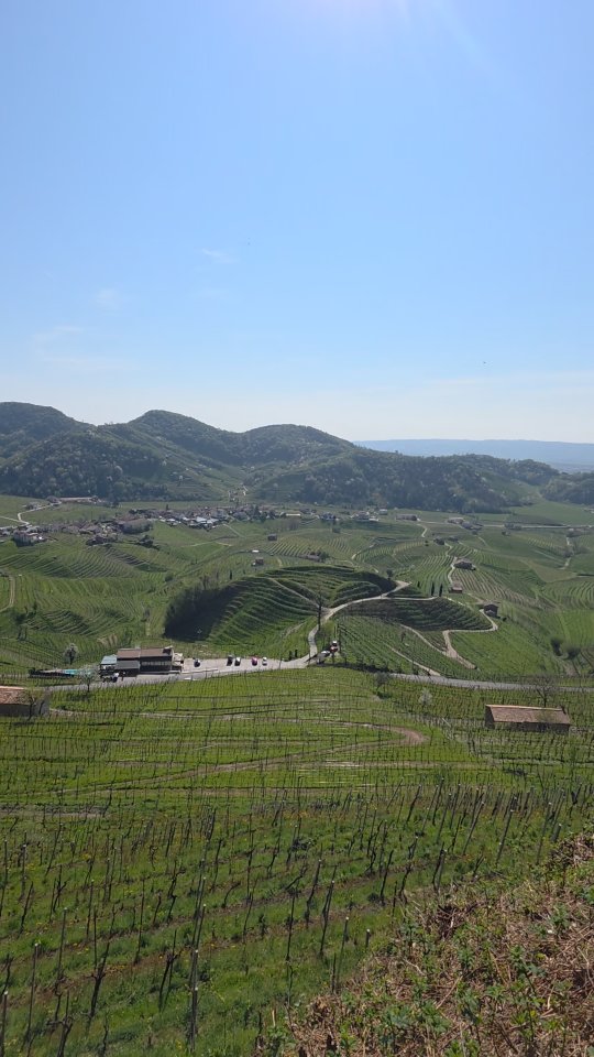 Manche Aussichten brauchen keine Worte 💛
Hügel — UNESCO-Welterbe.
Weinberge so weit das Auge reicht.
Frohe Ostern von hier. 🐣🍷
#Prosecco #CollineDelProsecco #UNESCO #deronchiwines ItalianWine VinoItaliano Biologico FIVI Oste