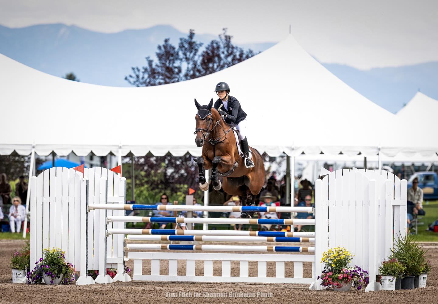 This week, Robby welcomes back returning guest @lhoffeventing ! Lizzie first joined the MLE podcast back in August of 2024 and returns as a member of the 2026 USEF Eventing Development 25 Athlete. Lizzie gives an update on everything that has happened in the past 2 years and her future plans. Thank you to our friends at Athletux for helping us reconnect with Lizzie!
PC: Tina Fitch for Shannon Brinkman Photo
Available wherever you listen to podcasts!
https://www.buzzsprout.com/168580/episodes/18968919
Please support our sponsors:
@manentailequine
@cowboymagicusa
@exhibitorsequine
@triplecrownfeed
#eventing
#equestrianlifestyle
#equestrianpodcast
#majorleagueeventing
#majorleagueeventingpodcast