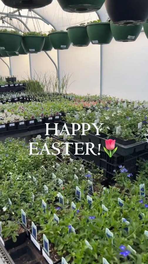 New life is all around us, both in the garden and in our hearts. This time of year brings hope, renewal, and the promise of a fresh start.
Happy Easter from Summit Sprouts!🌱