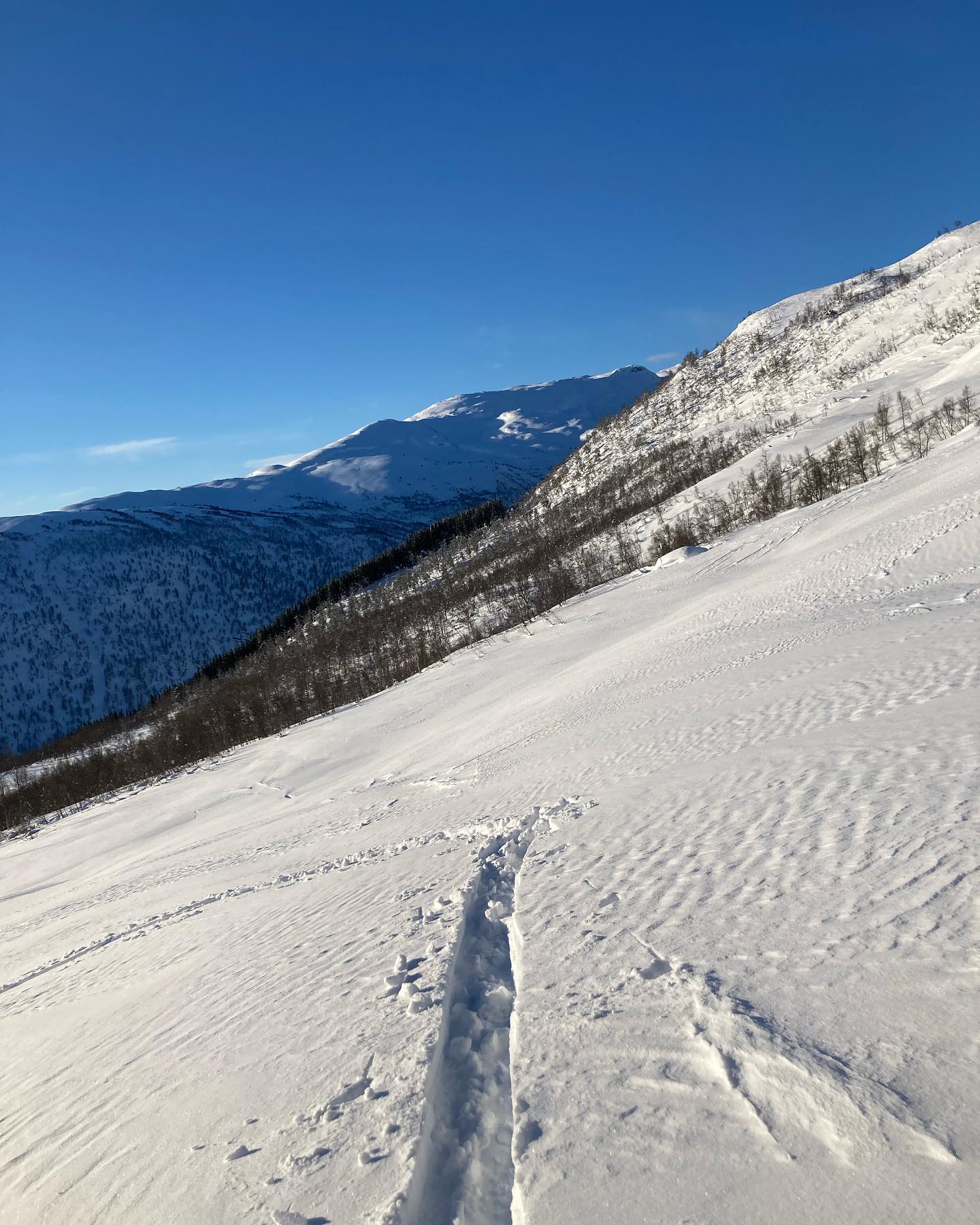 Flakdannelse❄️
Ofte i overgangen mellom tregrensa og høyfjellet vil en merke at snøen har vindtegn og i større grad danner flak. Dette er fordi snøoverflaten er mer utsatt for vind og en har lite terreng som skjermer. Denne endringen kan ofte komme overraskende på, og en har en del skredulykker der mennesker blir tatt av skred rett over tregrensa og ført inn i terrengfeller som trær, steiner, nedsenkninger og klipper.
Vær varsom der det er løsneområde og ferske flak over tregrensa!
Vil du bli flinkere på ferdsel og skredvurdering i vinterfjellet?
Meld deg og vennene dine på en guidet tur eller skredkurs med oss på www.flyytguiding.no !
#flyytguiding
#skiing
#avalanche
#skred
#topptur
#backcountryskiing
#nortind
#skivegleder
#fjelletsfagfolk
#sogndal
#skredfag