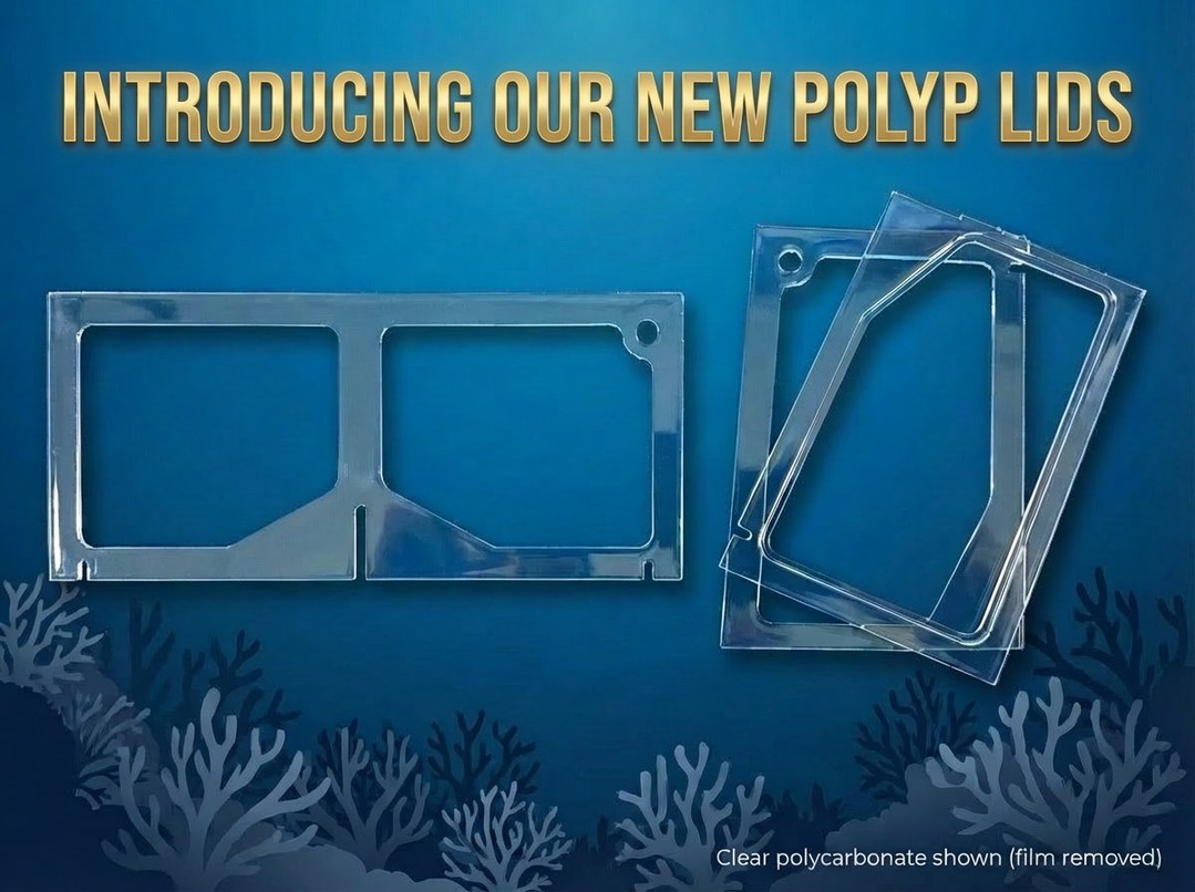 🚨 SNEAK PEEK ALERT! 🚨
Introducing our NEW POLYP LIDS!
We can now manufacture custom polycarbonate lids for ANY tank setup. Whether you're running a frag system, display tank, or custom build—we've got you covered with precision-engineered lids that fit perfectly.
Made with strong polycarbonate
Got a custom tank that needs a lid? Drop us a message or hit us up for details and pricing. We'll design it to fit your exact specs! 💙
Check us out:
🌐 https://www.thepolyppros.eu
🌐 https://www.thepolyppros.co.uk
#thepolyppros #customaquariumlids #fragtank #reefkeeping #customtank #polycarbonatelid #aquariumaccessories #marinereef #reefnerd #coralfarm #aquariumsetup #customaquarium #reef2reef #coraladdict #allmymoneygoestoreef #ilovemyjob #aquariumhobby #reeflife #tanksetup #aquariumdesign #customaquariumtank #marinereef #reefkeeper #aquariumcommunity
