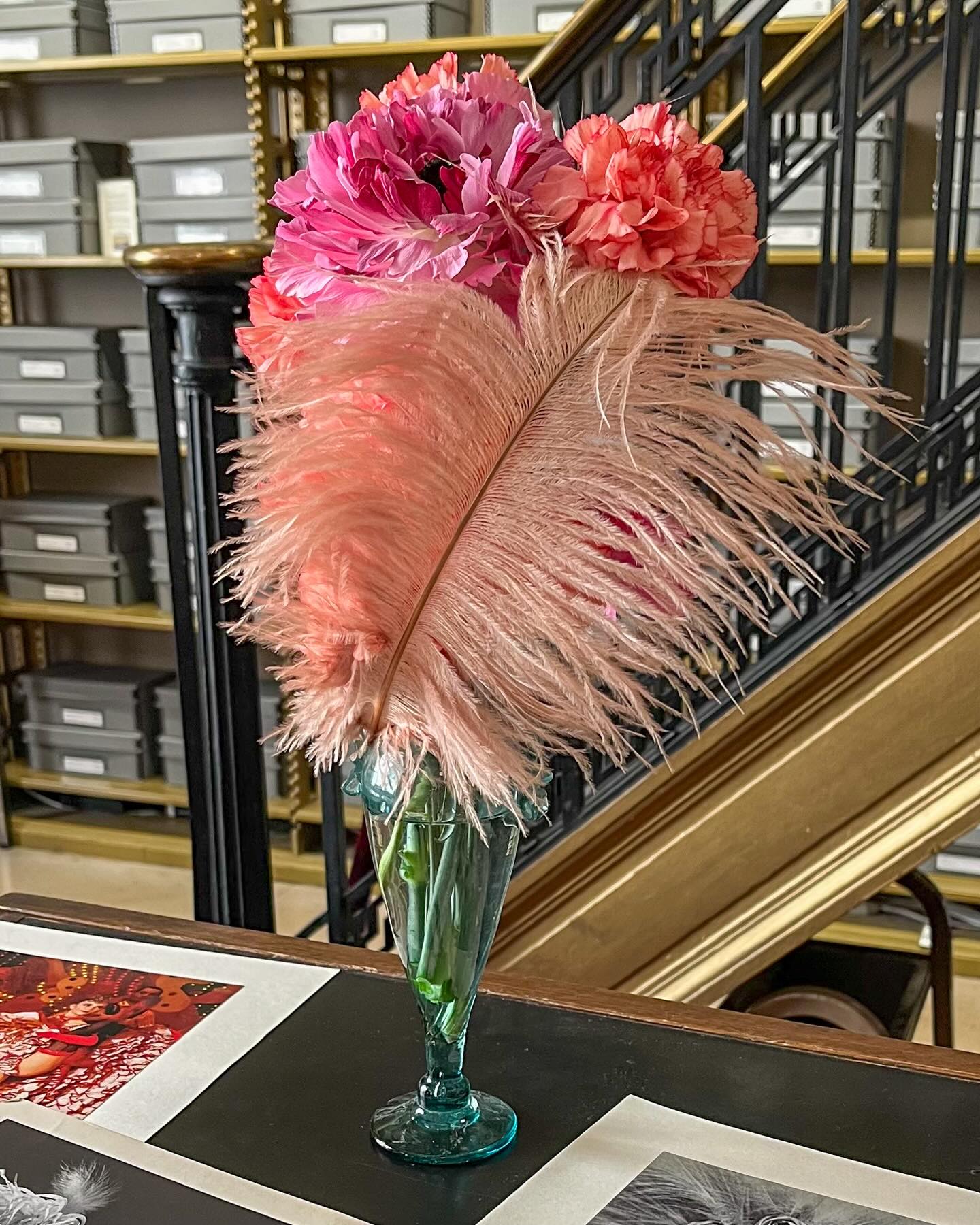 Charlotte Ranunculus with her carnation back up dancers 👯♀️
Part of a series of floral arrangements inspired by folders at the @nyplpicturecollection
Referencing:
📁 Chorus 1901s - 1930s
📁 Chorus 1940s - 1990s
📁 Dance Contests