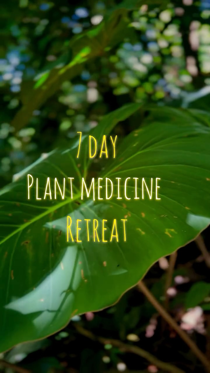 This is our 7-day plant medicine retreat (Part 1)
Check the link in our bio for more info!
#plantmedicine #plantmedicineretreat #costaricaretreat
