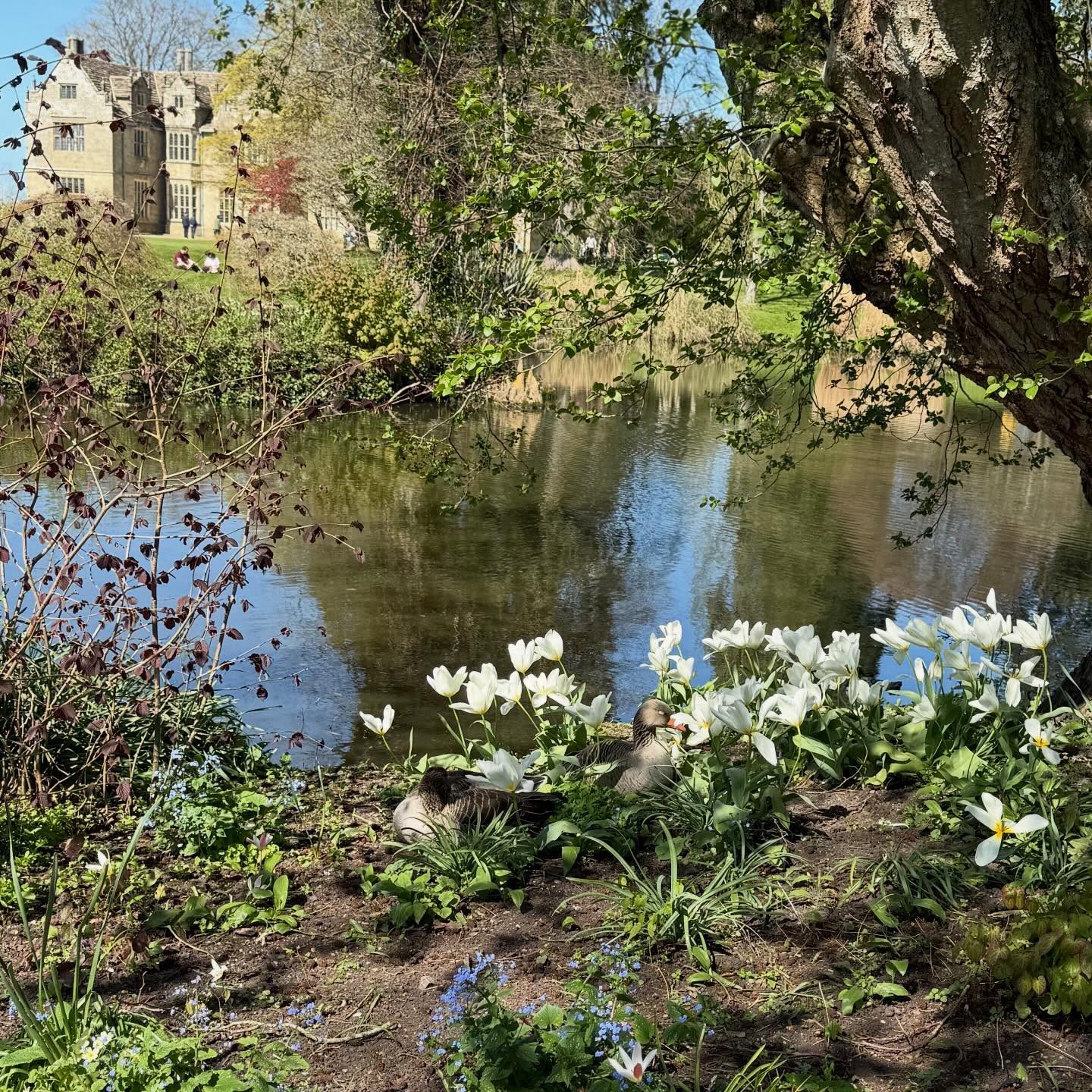 Wakehurst Place and Worthy Worthing…
#easterbunny #dayout #springtime #sussex #happydays