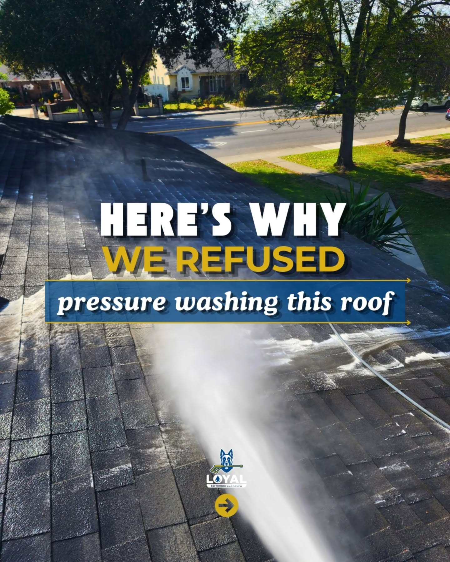 🏠 We want you to protect your investment 😟
That’s why we refused pressure washing this roof 🚫
➡️ Swipe to learn why and the Slide 5 reveals the real reason it can cost you more long-term 💸
📌 Save this roof cleaning guide for later.
👉 Comment “SAFE” to schedule your FREE estimate or ask questions
☎️ FREE ESTIMATE | Call us: 714-831-7146
🌐 Book your FREE estimate via link in bio
✅ Professional • Insured • Safety-Certified
✅ 5-Year Roof Washing Warranty
🌼
🌼
🌼
🌼
🌼
#loyalexteriorcleaning #roofwashing #roofcleaning #softwashing #guttercleaning