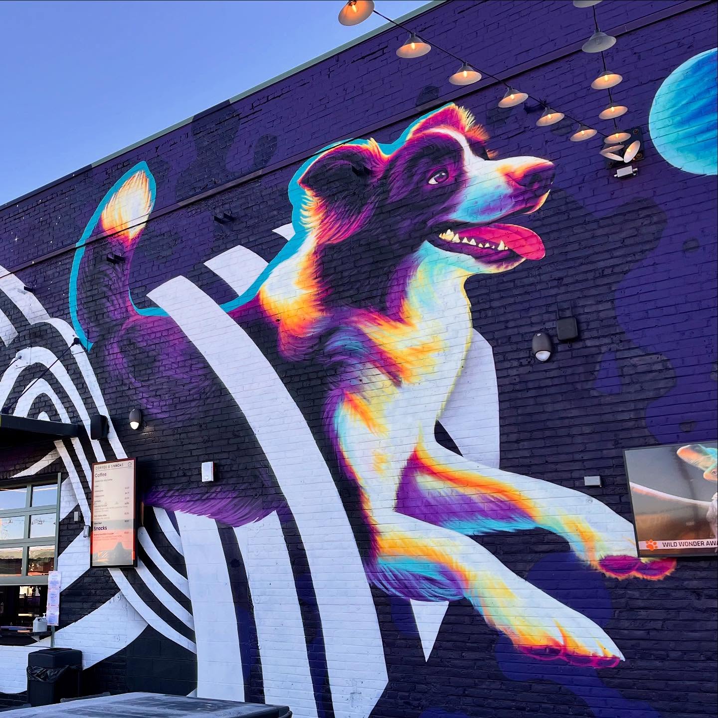 Lil snippet of a collaborative mural between me, @a.l._grime , and @patrickkanemcgregor . Of course the week we were painting this ended up being the largest November snowstorm in 30 years 😅❄️ which is why we try not to paint in November 🙃 but sometimes it just works out that way 🤷♀️ check it out at Skiptown near RiNo!
#skiptown #dogmural #doggo #doggos #dogsofinstagram #dogpark #dogparkbar #collabmural #muralartists #rino #denverartist #denverstart #denverstreetart #streetart #sprayart #bigart