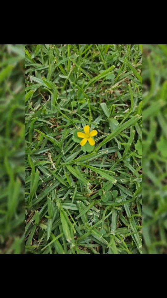 A day of pause.
A return to now.
I notice how easily I chase the dream…
yet forget that this moment is it.
The stillness I resist
is the very place life meets me.
Pause is not losing momentum.
It is remembering what matters.
The dream is not ahead of me…
it is here,
in every breath I allow myself to feel. 🤍
#presence #beherenow #slowdown #sacredpause #daniellelabram