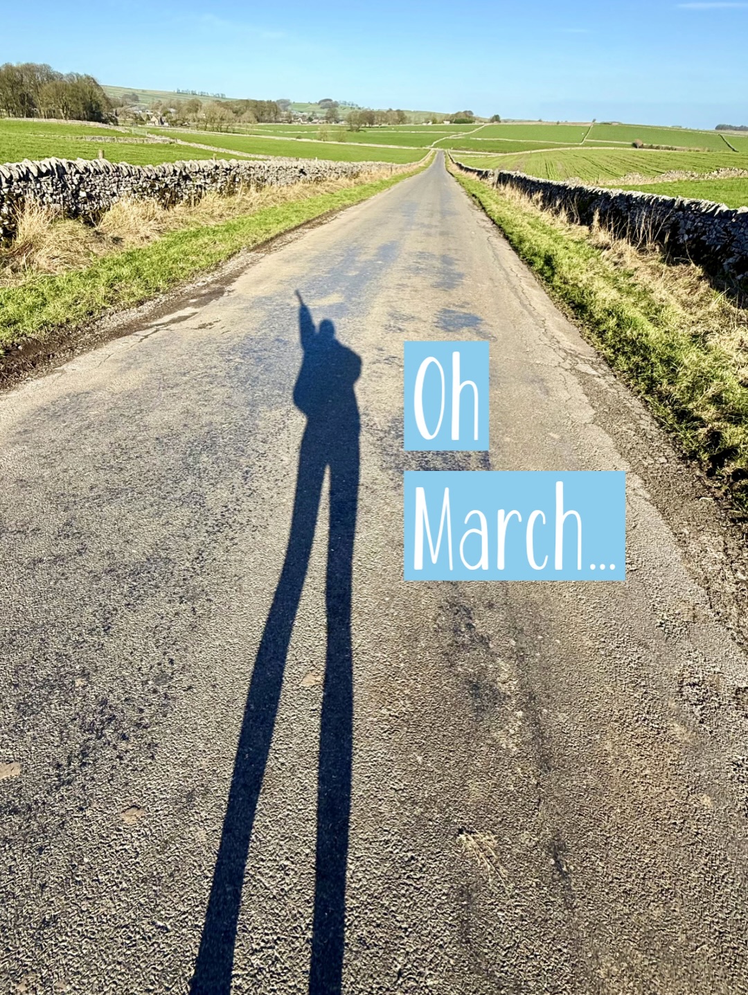 Oh March 🌼💛
Another gentle month 😌 filled with the joy of spring sunshine ☀️ (and snow!) 😂
And too many sweet moments to mention… but here are just a few 🤍
Hot cross buns of every flavour (red velvet! 😍)
Spotting March hares 🫶🏻
And all my little bird friends in the garden- so much joyful watching from my desk 🙌🏻
Our home coming back together, piece by piece- we have a fireplace in our living room again 🙌🏻
Saying goodnight to the girls 🐄🐄🐄 under starry skies and a little planet spotting ✨🪐😍
Grateful for all the gorgeous Mother’s Day orders 💌
And celebrating with our wonderful mums 🤍
Family meals and Sunday roasts 🫶🏻
Time with my gorgeous mum ❤️
Homemade cake and cuddles with my nephews 🥰
The paintwork (and now tiling!) in my studio- so exciting! 🙌🏻
Cups of tea in the sunshine with wonderful company ☀️
Spotting deer at Chatsworth 🦌
We’re so lucky to have such beautiful places on our doorstep 🤍
Grass day for the girls 🐄 (always a joyful one!)
And beautiful spring evenings 🌅
Thank you, March 😌
Feeling ready for April ✨
(Please don’t overdo the showers though 🌧️🙏🏻)