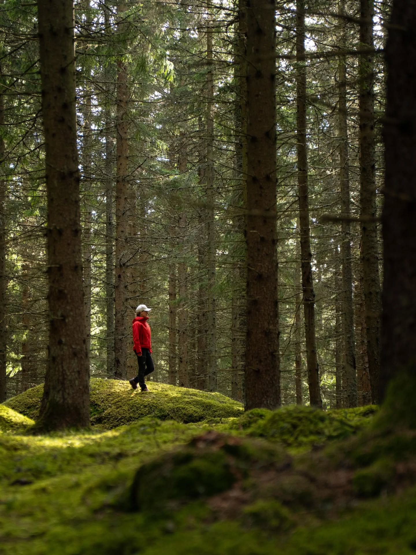 Det kanske inte va meningen att jag skulle fota idag...
Taggad för att utforska nya platser körde jag österut efter frukosten. Lite blåsigt, visst. Men solen sken och jag skulle hålla mig i skogen.
Efter 50 minuter.
En fin kyrka! Jag stannar!
Men när jag skulle ta fram kameran va väskan inte med!
Tog jag aldrig med mig den? Bitter valde jag att vända hemåt igen.
"Det behövde du väl inte?" skrev några.
Absolut inte. Man kan utforska platser utan kameran. Men jag känner mig själv.
Utan kameran skulle jag inte kunna fånga platsen vilket betyder att jag skulle vilja åka tillbaka en gång till. Då kunde jag lika bra vänta med att utforska platserna på min lista.
Stannade ändå på väg hem och tog en promenad ut på Fiskaretorpsåsen.
Väl hemma tog jag med mig kameran ut i skogen och stillade min abstinens.
Det värsta är att detta va andra gången på 1 dygn som jag glömde kameraväskan. Igår hos min bror. Men nu kommer jag INTE glömma den igen.
#fotograf #contentcreator #nature #skogen #naturelovers