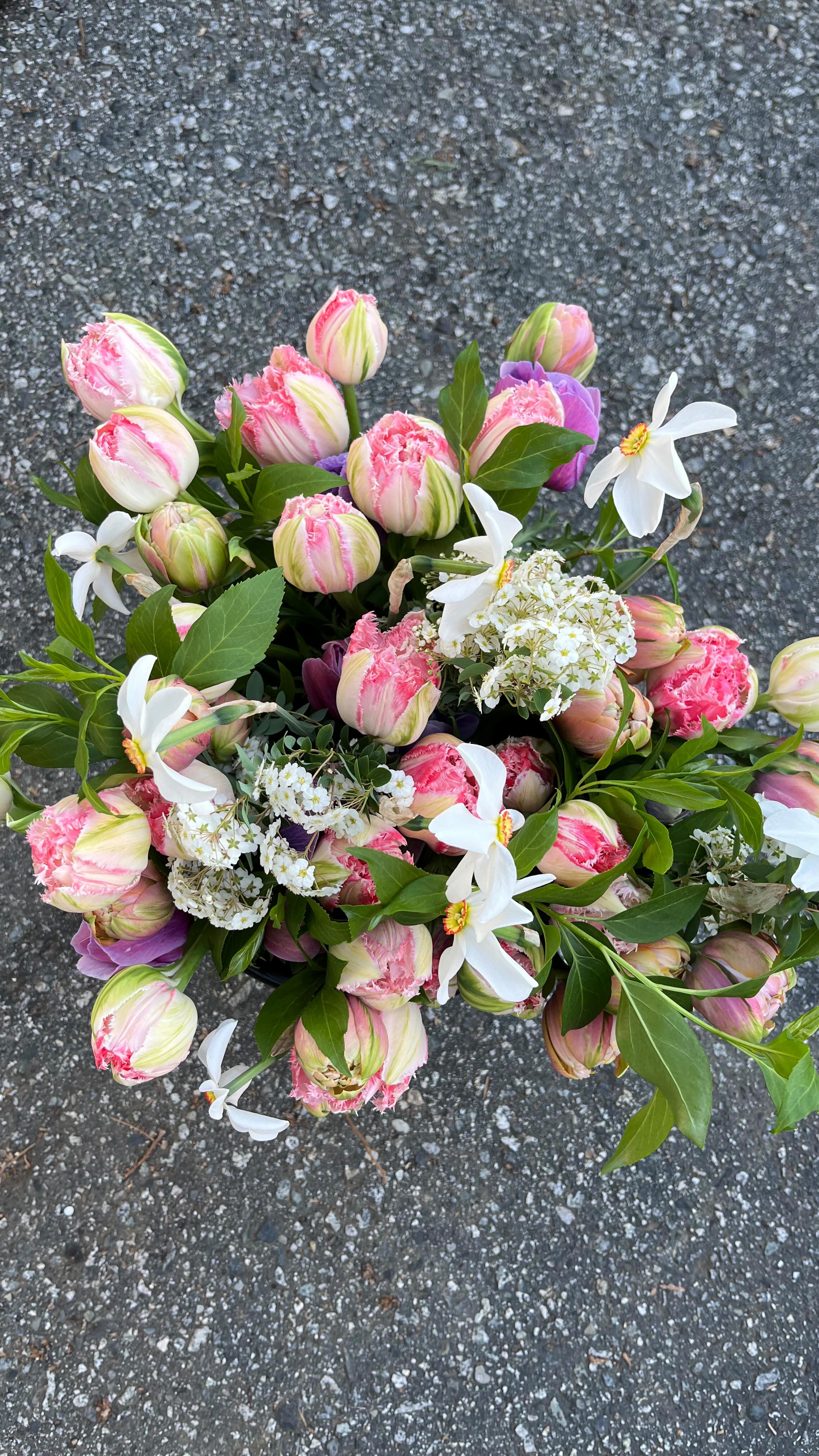 Who’s excited for spring flowers?