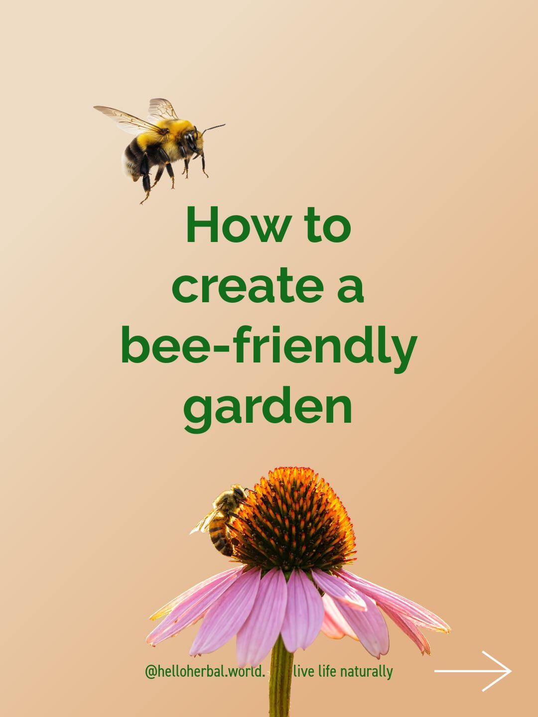 Let's bee friendly to our pollinators 🐝🦋We need them desperatly and with all the toxins, 5G towers and everything, having a look at your garden can have such a positive effect! thank you! 🙏 #bee #beefriendlyflowers #beefriendlygarden #savethebees🐝