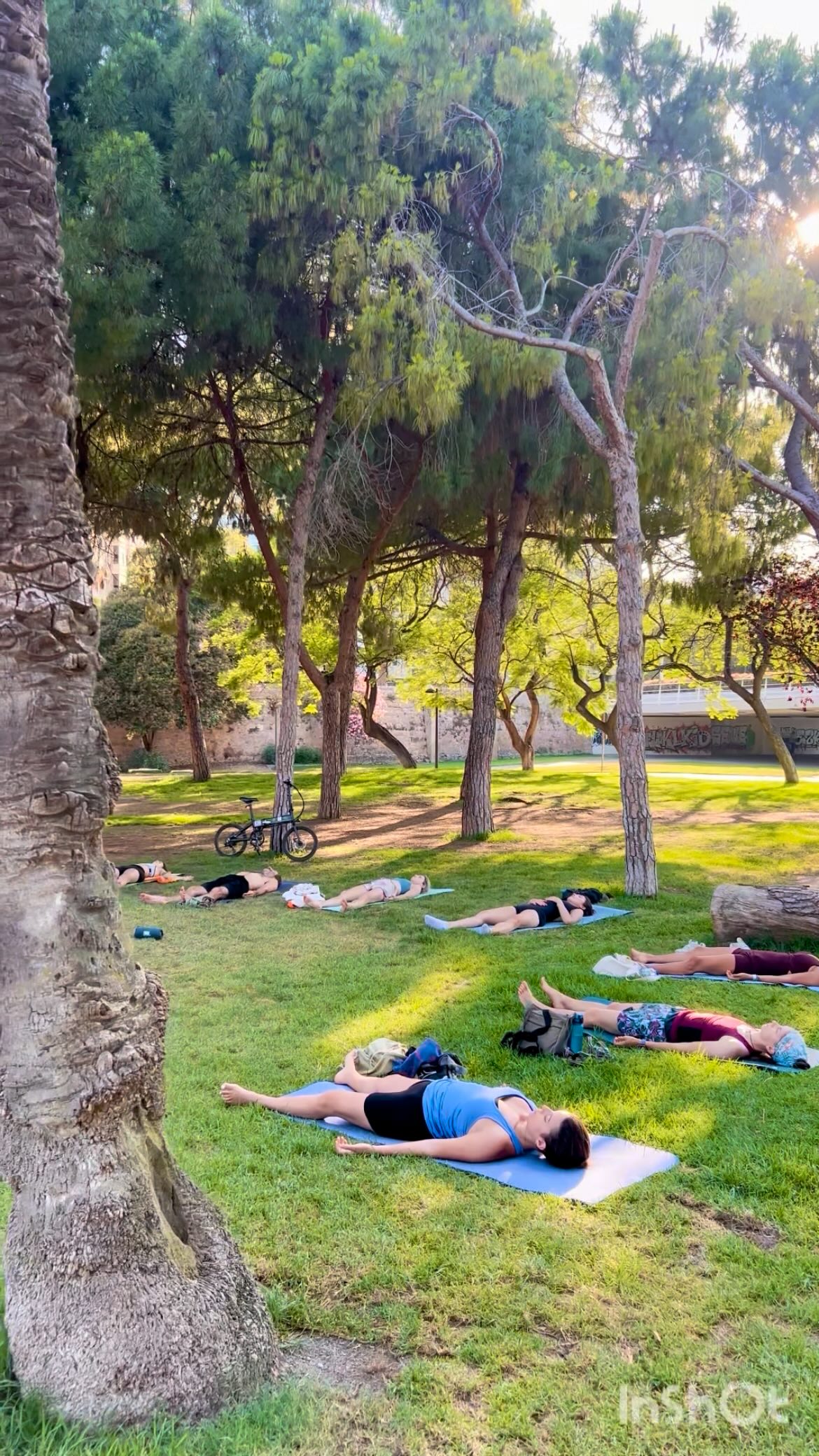 Ha llegado la primavera 🌸
y con ella… las ganas de practicar al aire libre ☀️
✨ Horarios:
Sábados — 11:00 y 12:10
Martes — 10:00
(+ desde el 21/04 también 19:30)
📍 Río Turia — entre Puente de las Flores y Puente del Mar
💸 8€
📲 Reserva en la web