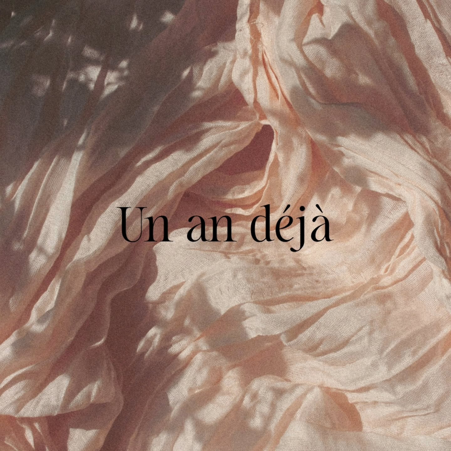 Il y a un an, tu es arrivé dans ma vie.
Et je n'étais pas vraiment prête. Je ne savais pas comment faire.
Je ne m'étais jamais projetée dans cette étape, grand-maman.
Ce mot même me semblait appartenir à un futur que je n'avais pas imaginé.
Alors je me suis laissée porter.
J'ai gardé ma place. Je suis restée attentive, disponible. J'ai écouté, j'ai profité de chaque instant.
Et j'ai découvert un amour que je ne connaissais pas encore. Si doux, si intense.
Si différent de tout ce que j'avais vécu.
Porter ce petit être fragile. Le regarder grandir. Retrouver des sensations oubliées mais précieuses.
Tu m'as reconnectée au cycle de la vie. À cette évidence simple et profonde que la vie continue, qu'elle se renouvelle, qu'elle offre des cadeaux qu'on n'osait pas espérer.
Je suis admirative de tes parents, de leur maturité, de leur amour, de la façon dont ils font de leur mieux. Et ils le font si bien. Je vous aime fort, très fort ❤❤❤
Bonne fête mon petit cœur. 💛
#grandmaman #cycledevie #selaisserporter #accueillir #lovessence