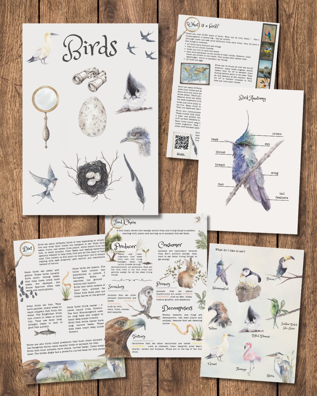 🕊️Learning takes flight with my beautiful bird-themed homeschooling resource! 🦅
I’m so excited to share this nature-inspired learning pack, featuring my original hand-painted watercolour bird illustrations.
Explore habitats, behaviour, and life cycles, and much more!
.
#Homeschooling #NatureStudy #BirdLovers #LearningThroughNature #learningresources