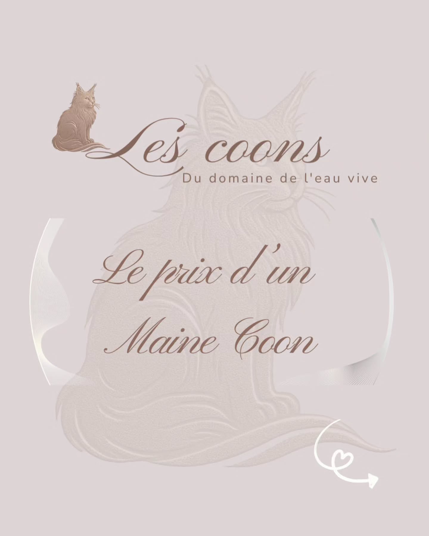 On me dit parfois :
"C’est cher pour un chaton.”
Alors je voulais juste expliquer ce qu’il y a derrière ce prix.
🤍 Derrière chaque chaton, il y a des tests génétiques, des suivis vétérinaires, les vaccins, la vermifugation, la stérilisation/castration, une alimentation de qualité, beaucoup de temps, de soins, de nettoyage, de socialisation et énormément d’amour.
🤍 Il y a surtout tout le travail pour qu’ils soient bien dans leur tête et dans leurs patounes, équilibrés, sociables et prêts pour la vie de famille.
🤍 Chaque chaton part avec un pedigree, qui garantit ses origines et tout le travail de sélection derrière.
Le prix ne représente pas juste un chaton, mais tout le travail et la passion qu’il y a pour lui offrir le meilleur départ dans la vie.
Avec passion 🤍
Carine Zimmermann
Éleveuse de Maine Coons
Affiliée au Cat Club Romand
Domaine de l’eau vive
1724 Bonnefontaine
+41 79 281 93 88
www.lescoons.ch
#mainecoon #chaton #kitten #prixmainecoon #chatheureux