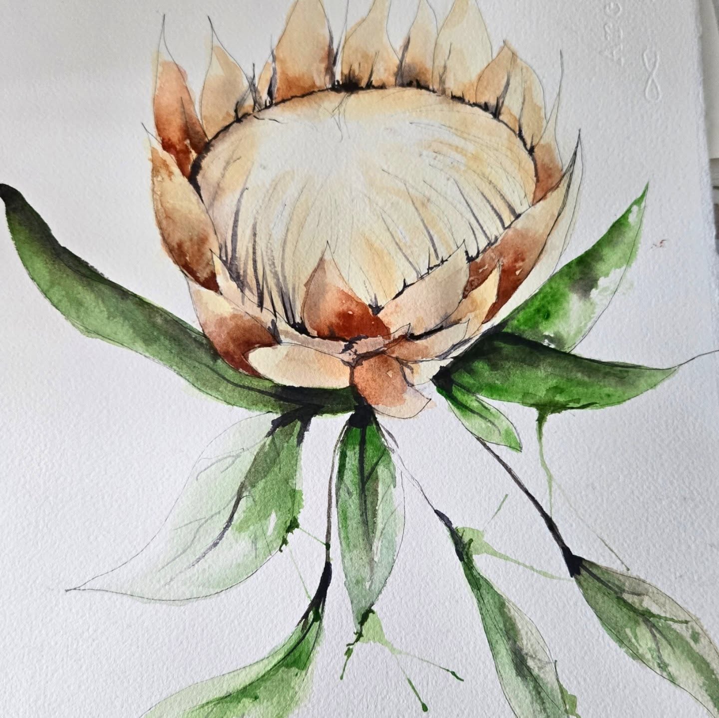 A florist trying her hand at painting her muse 🌸🎨
I spend my days working with real proteas — their texture, their structure, their wild beauty… and today I tried to capture just a little of that in watercolour. Not quite the same as arranging the real thing, but a whole new appreciation for every petal and curve.
#watercolour #proteaart #botanicalpaintings