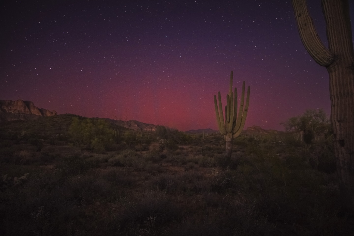 Last Friday night (3/20) the magical lights danced in the sky again and I got to witness and capture it with @caseyblock . 🥹💕✨
My week has been a tad bonkers so hadn’t gotten to edit and post my pics yet, but I’m loving this one!
Hope it brings some light to your weekend!
Comment a time you saw the northern lights! Share if you love some desert aurora.
