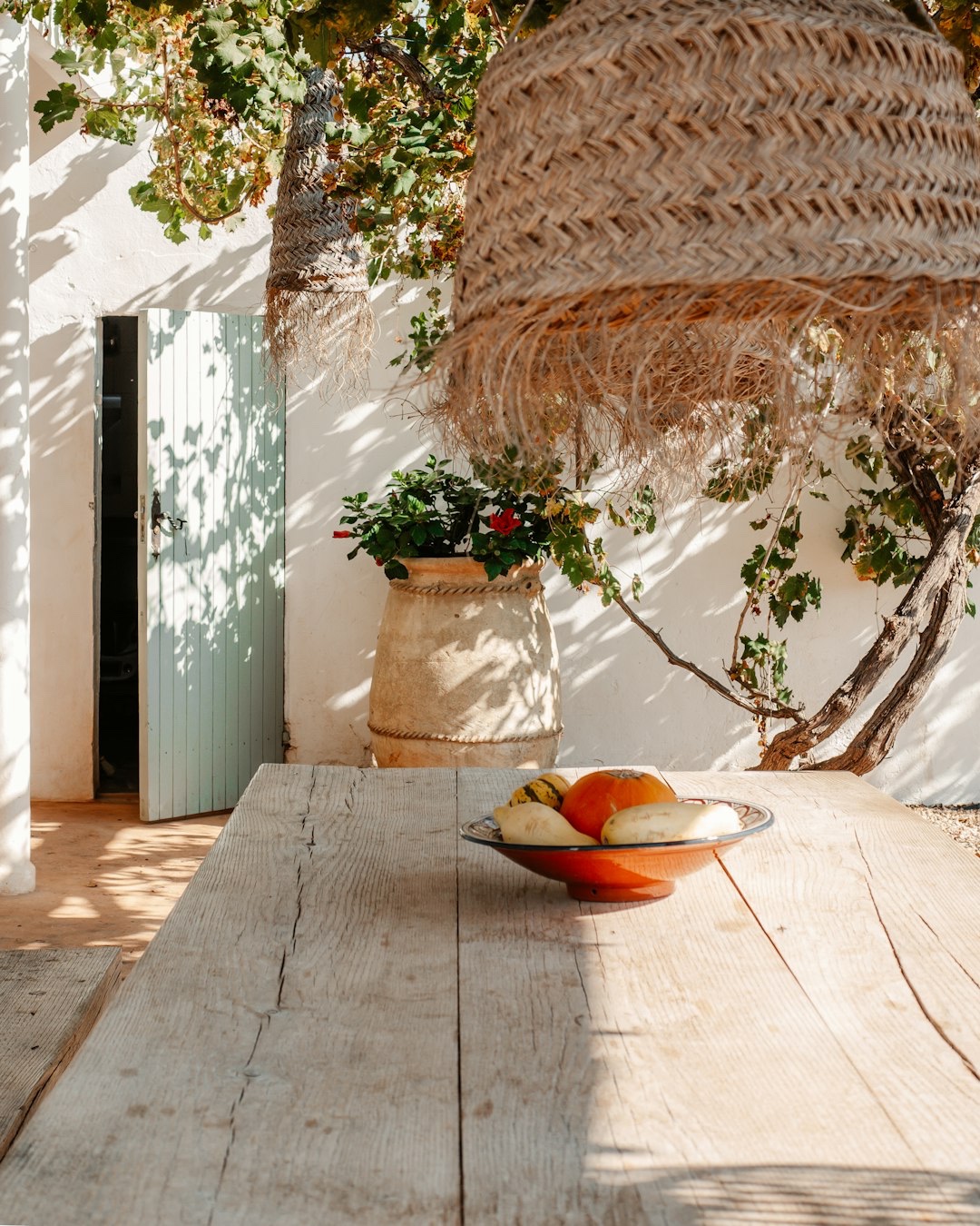 The art of keeping it simple..
Good food, a bit of sunshine, and time to slow down for a minute.
That’s enough 🤍
#aslowmoment #islandlife #nourishibiza