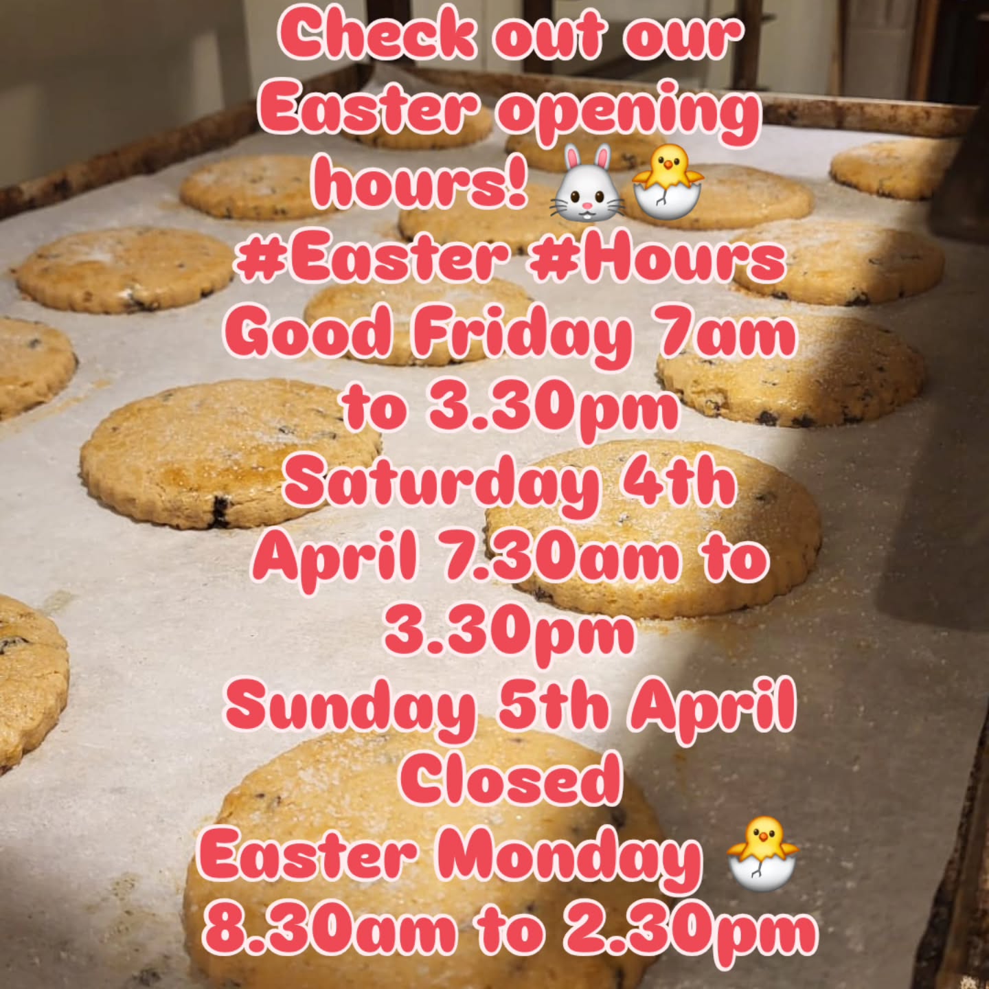 Easter Opening hours... wishing you all a nice week!!!
Don't forget to grab your Easter biscuits and Hot Cross Buns!!! #familybakery #suportlocal #indepentantbakery #hotcrossbunseason #easterbiscuits🐥