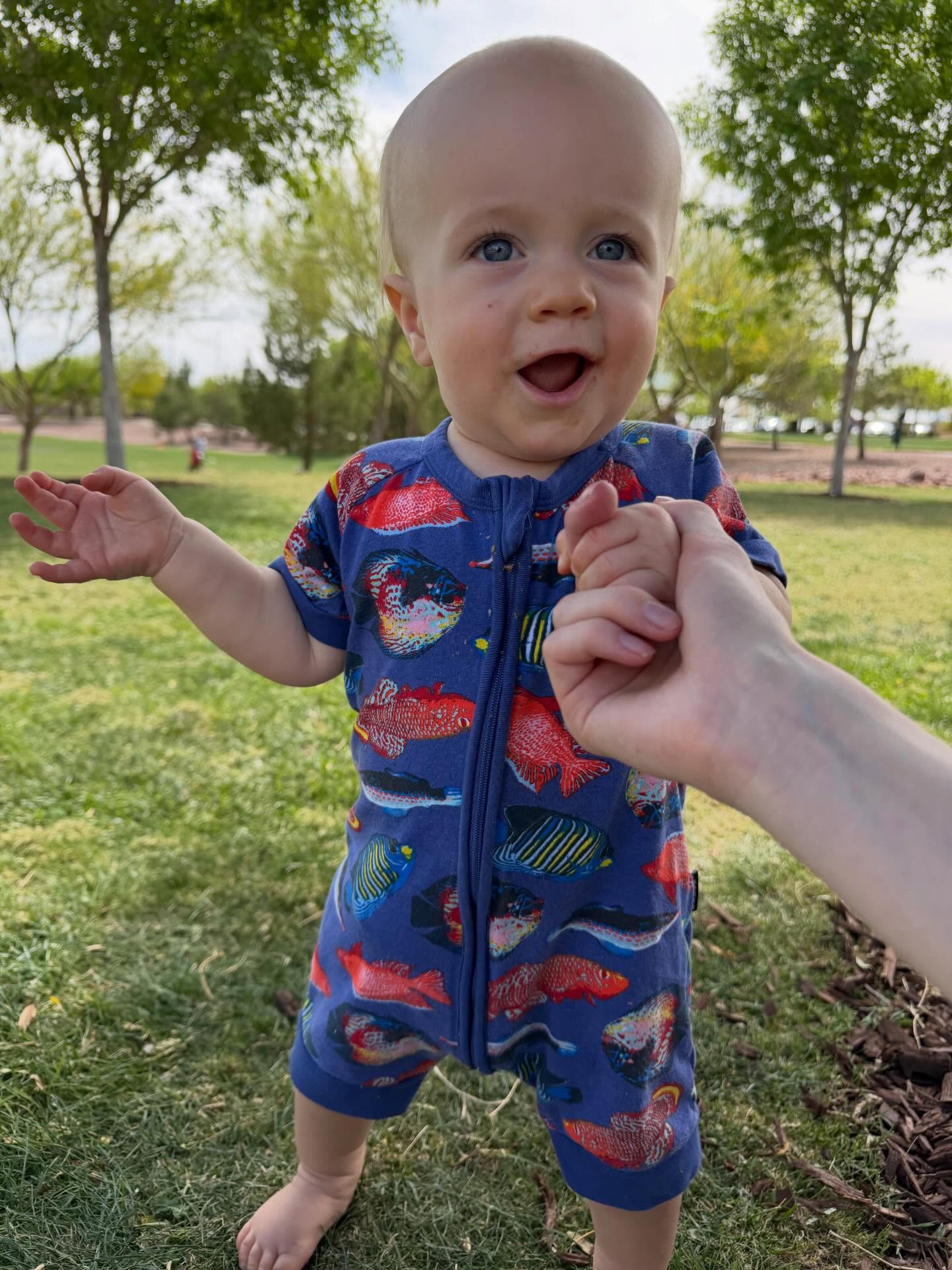 The FOMO I have right now! On a happy note, I sent rewrite of Swimming to the Surface off to the editor. I’m excited to get this book updated!