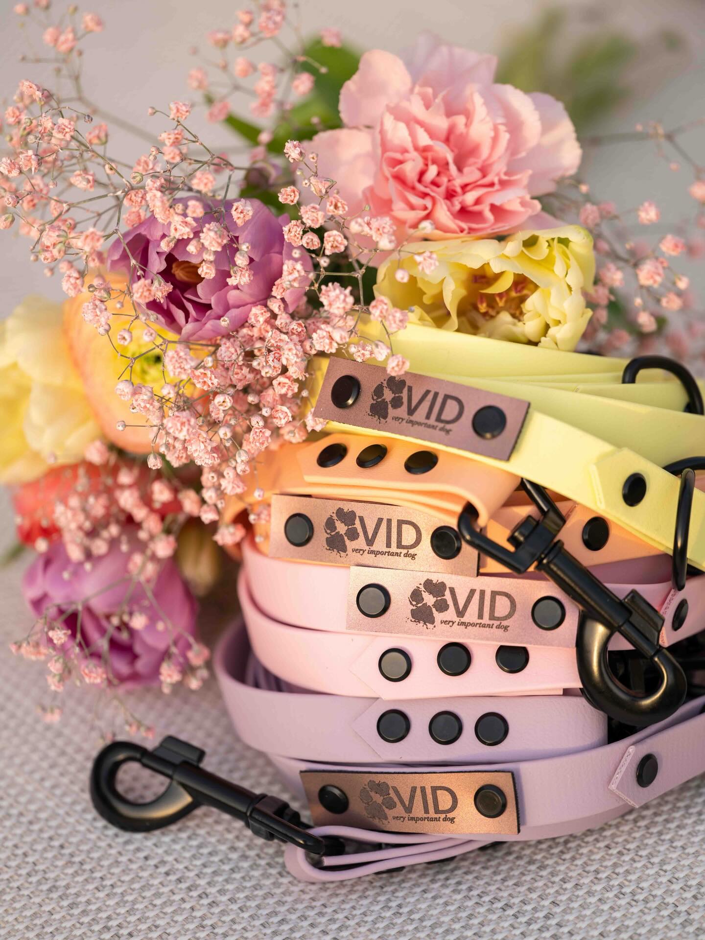 Dream Collection 💐💖
Unsere Dream Collection verzaubert mit vier sanften Pastelltönen, die Frühlingsfrische und Leichtigkeit ausstrahlen. Sanft und voller Lebensfreude fangen sie das Gefühl von Freude und Neuanfang ein. Diese Halsbänder sind mehr als ein Accessoire – sie sind ein Frühlingsgruss für stilbewusste Hundehalter und ihre treuen Gefährten.
Diese Führleinen und vieles mehr findest du jetzt auf veryimportantdog.ch 🐾
#veryimportantdog #vid #dogwear #handmade #biothane