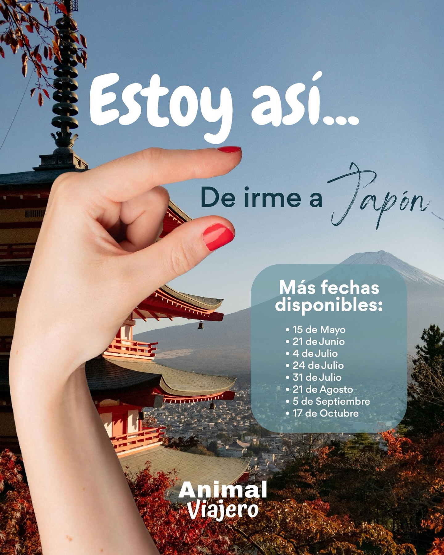 Estoy así… 🤏 de cambiar mi rutina por templos, sakura y calles que parecen de otro mundo 🇯🇵✨
¿Y tú, qué tan cerca estás de decir “sí” a Japón?
- Nuevas fechas de salida disponibles
#agenciadeviajes #animalviajero #viajesajapon agenciadeviajesmexico