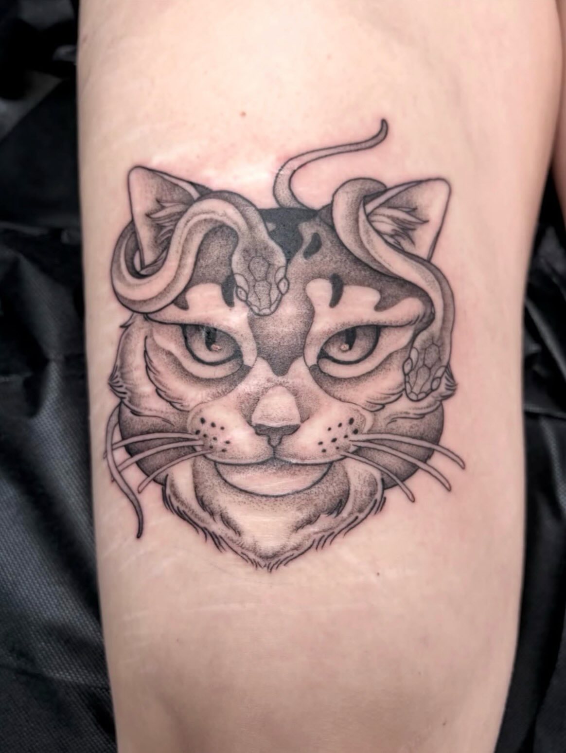 Medusa the cat 🐍🐱 pet portrait done by the great @renisanartist !
#ironwoodink #blackandgraytattoo #omahanebraska #omahatattoos #petportraittattoo