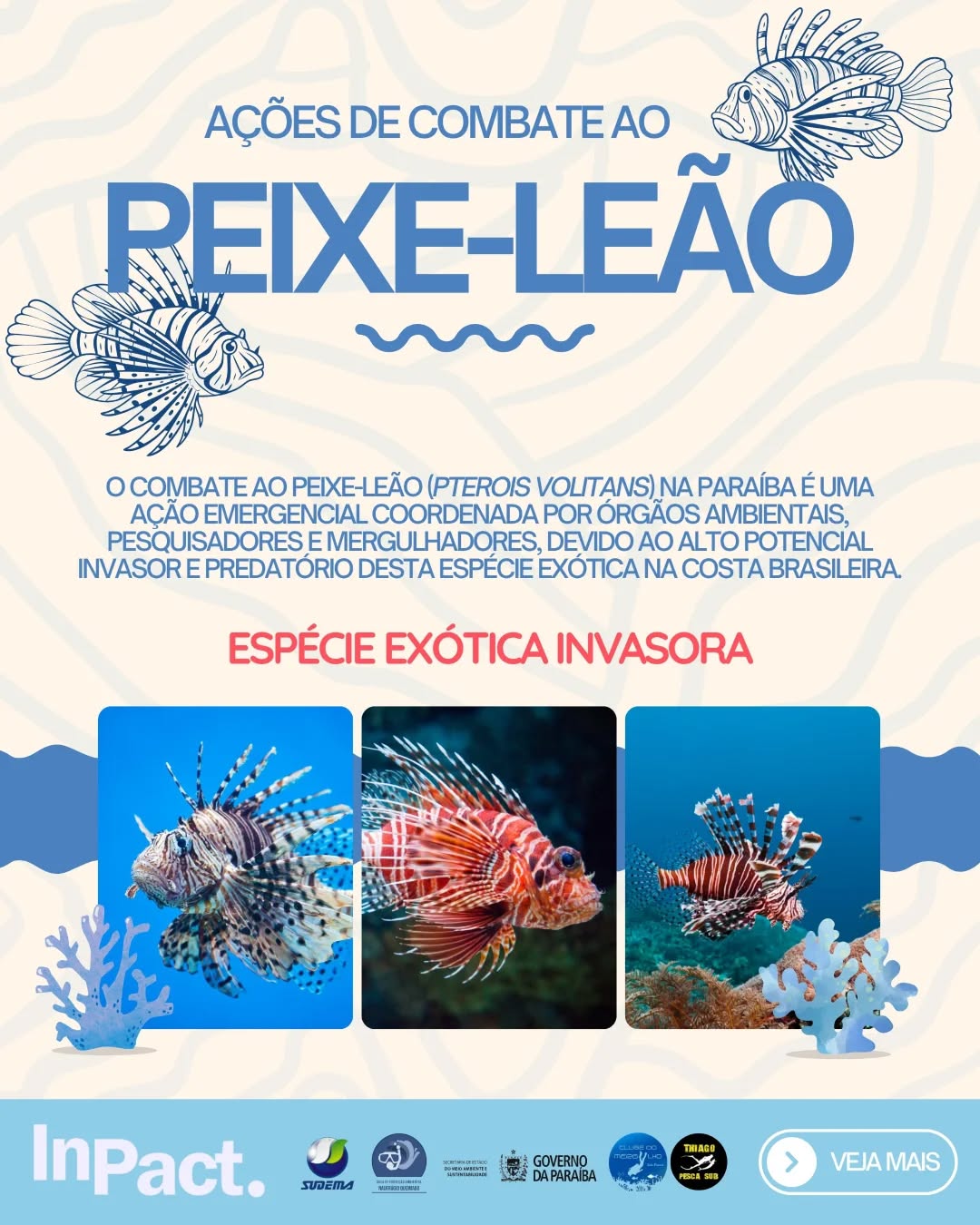 O peixe-leão chegou ao nosso litoral e representa uma ameaça real à biodiversidade marinha da Paraíba. 🐟⚠️
Por isso, estamos em ação! A busca ativa do peixe-leão na Paraíba, é realizada através da @sudemagovpb , da parceria com instituições, InPact - Instituto de Pesquisa e Ação, @clubedomergulhojp , @semaspbgov e também conta com a ajuda da comunidade, com os pescadores, para poder de forma integrada mitigar a permanência do peixe-leão nas águas paraibanas.
Nosso objetivo é proteger os recifes, preservar as espécies nativas e manter o equilíbrio dos ecossistemas marinhos. 🌊💙
Cada mergulho é um passo na conservação!
#PeixeLeão #ConservaçãoMarinha #Paraíba #Mergulho #Biodiversidade