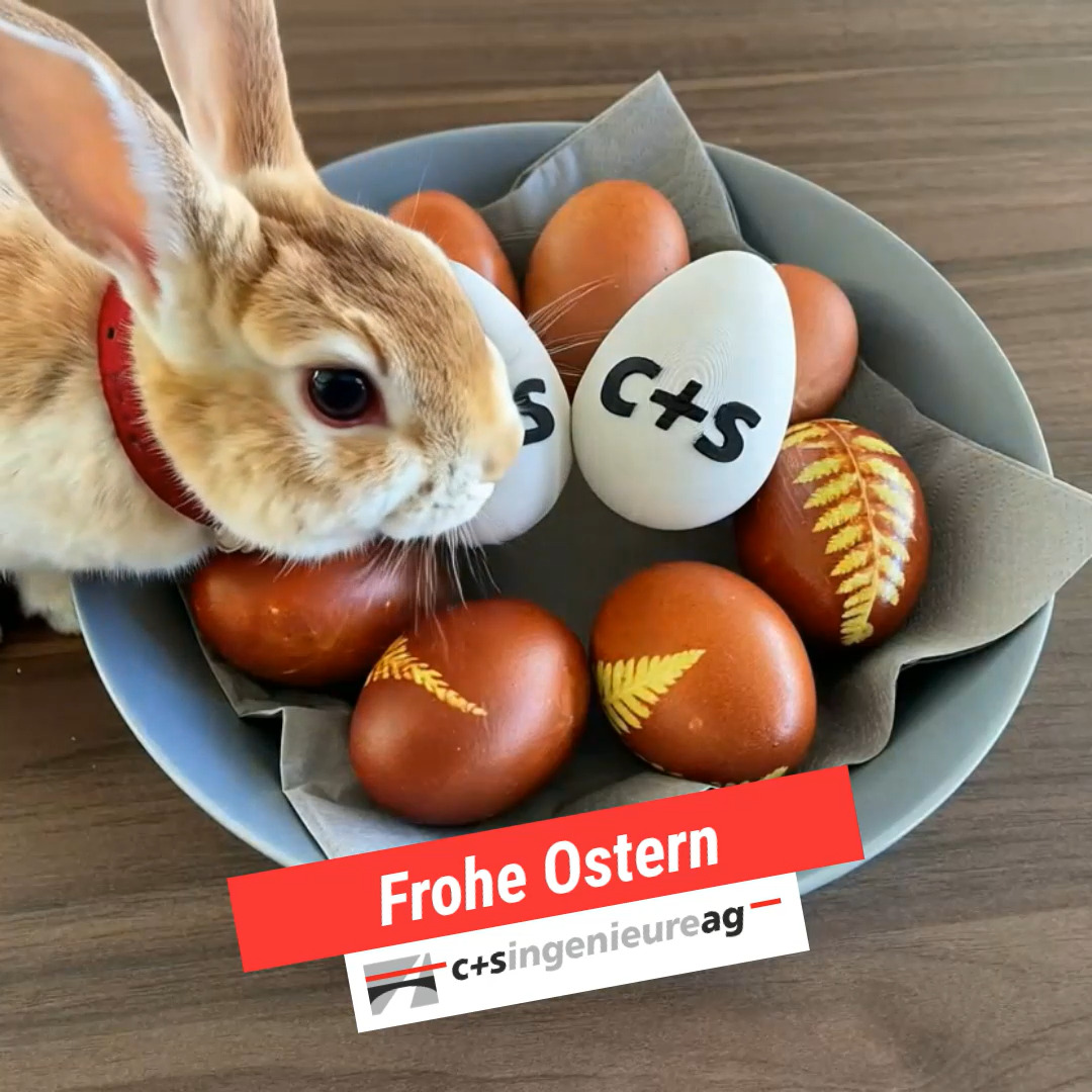 𝗙𝗿𝗼𝗵𝗲 𝗢𝘀𝘁𝗲𝗿𝗻
Das traditionelle Eiertütschen gehört bei uns einfach dazu. Dieses Jahr sogar mit besonderem Besuch 🐰.
Wir wünschen euch frohe Ostern und erholsame Feiertage!
#froheostern #eiertütschen #teamspirit #tradition #ingenieure #ostern2026 #miteinander