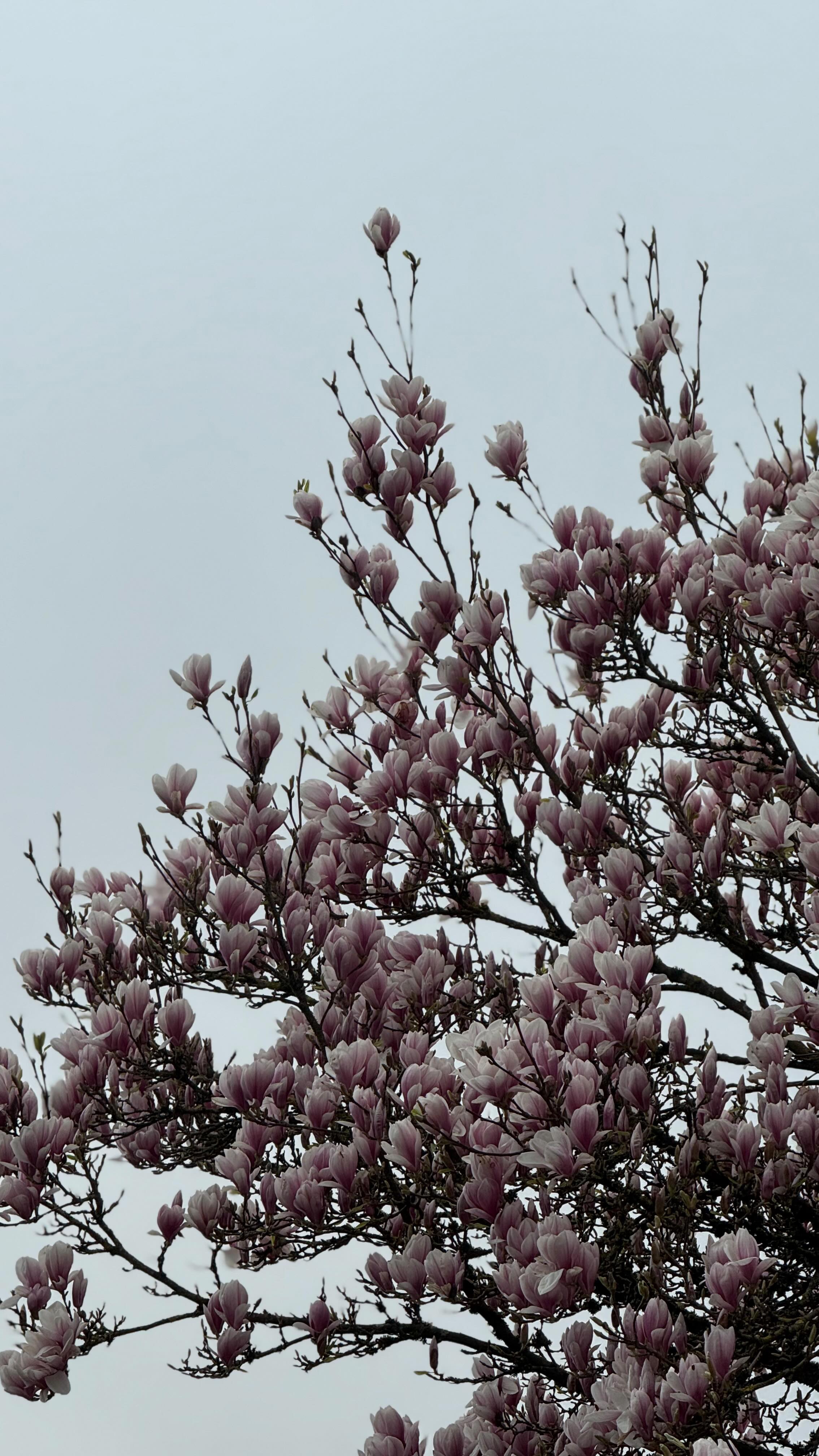 Diese Nervensystemregulierung ist wohl die schönste ever gewesen. Und es hat so Spaß gemacht mal einfach über seinen Schatten zu springen.
Traust du dich auch??? 😃♥️
