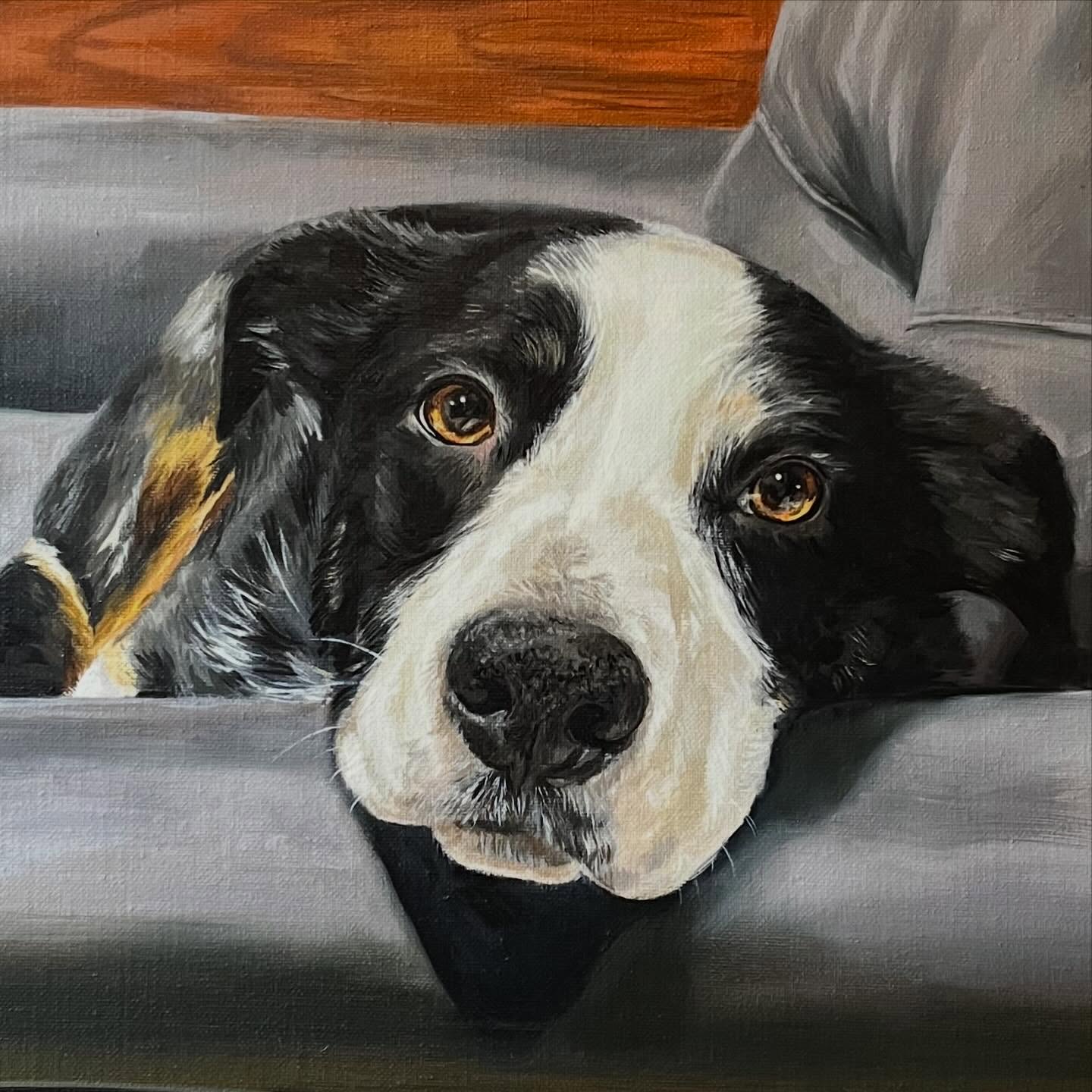 Billy ✨
This beautiful boy is no longer earth-side 🪽
Every night, Billy sat here watching TV beside his favourite person. Painting his eyes honestly felt like he was staring straight into my soul the entire time. I’ll miss having him in the studio.
“He was the best - so playful and loved by everyone. A bit of a celeb around where we live, everyone knew him”
Thank you @shannenoneill for trusting me with Billy.
#petportraitartist #oilpainting #petportrait #bordercollie