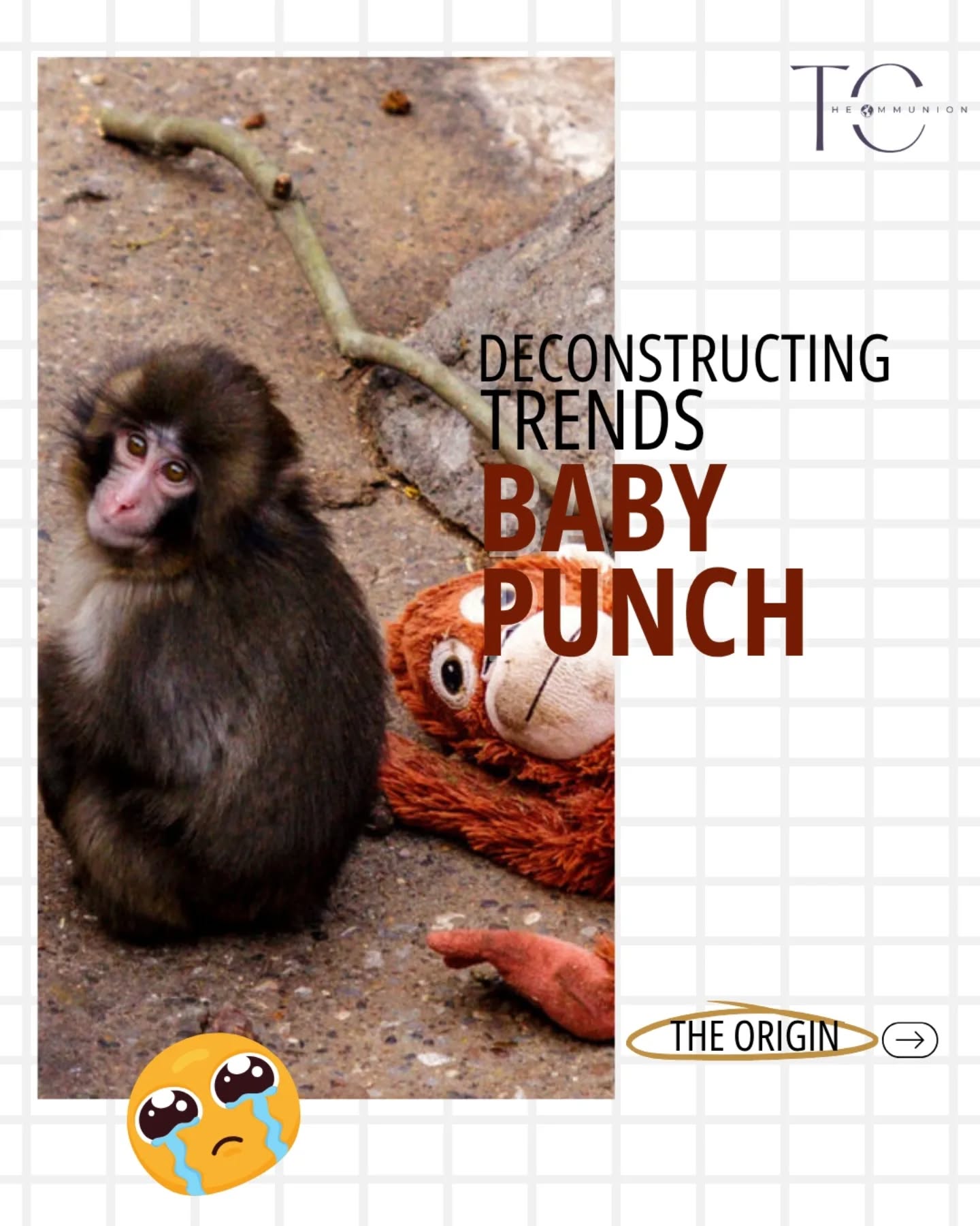 A baby monkey.
A plush toy.
And the internet couldn't look away.
"Baby Punch" wasn't just cute - it was deeply human.
Abandonment. Comfort. Vulnerability.
That's why it went viral.
And then came the brands.
The smart ones didn't just post - they connected:
Comfort β food
Protection insurance
Support β fintech
That's real trend marketing.
+Emotion spreads faster than information
Timing > perfection
Relevance > participation
Don't just jump on trends.
Make them mean something
(Babypunch, baby monkey, punch, ikea, marketing, agency, fyp, instagram)