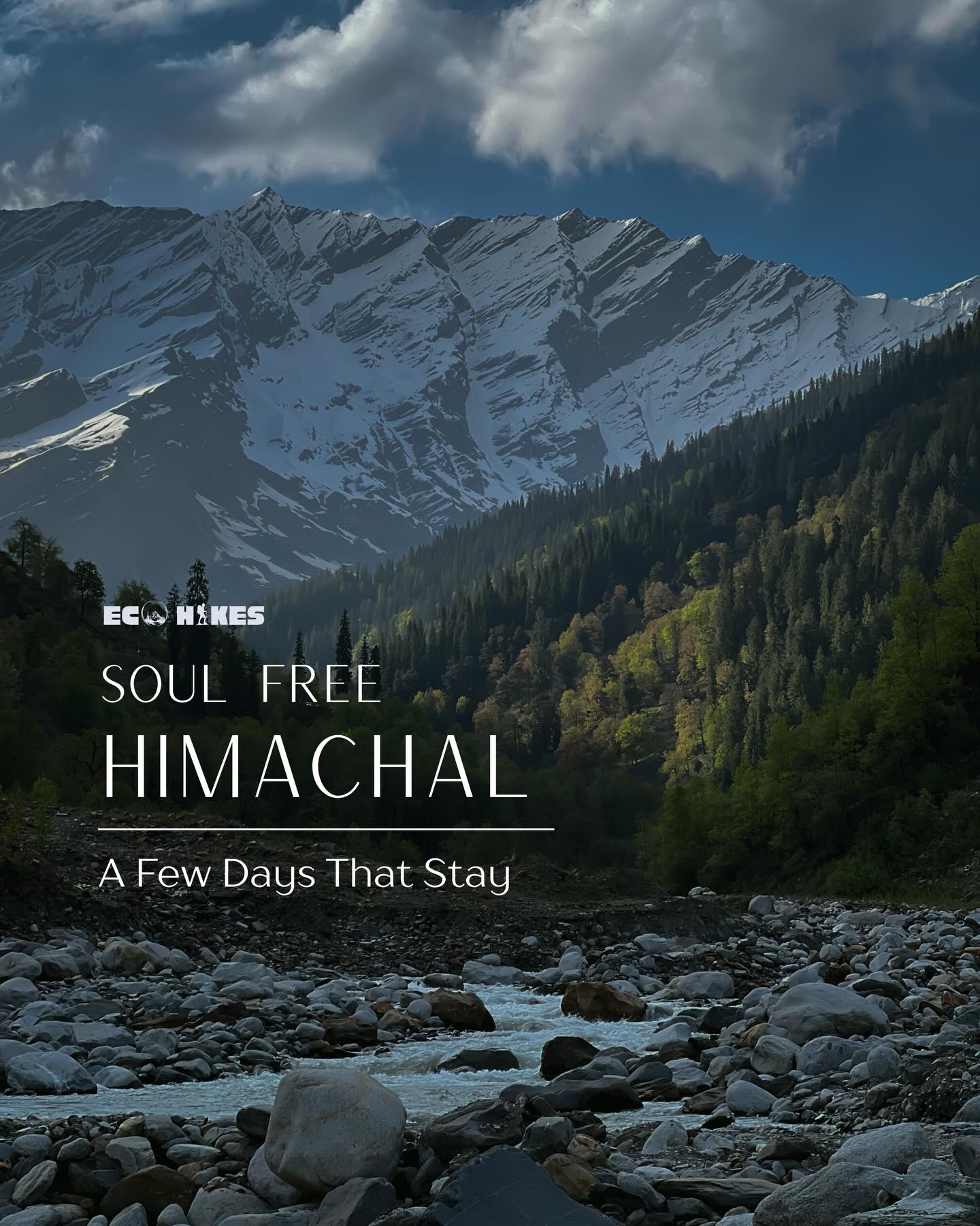 Soul Free Himachal
7 days in Himachal
staying in a homestay
and stepping out into nature
walks, time outdoors,
and letting the days unfold
If it resonates
So let us know in the DMs
We’ll share the details :)