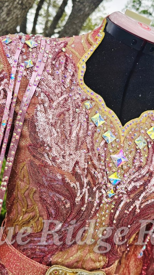 Dusty pink sequin gown with rhinestone fringe! 😮😮😮
#rodeoqueen #rodeoqueenfashion
#rhinestones
#rodeoqueendress
#rodeofashion