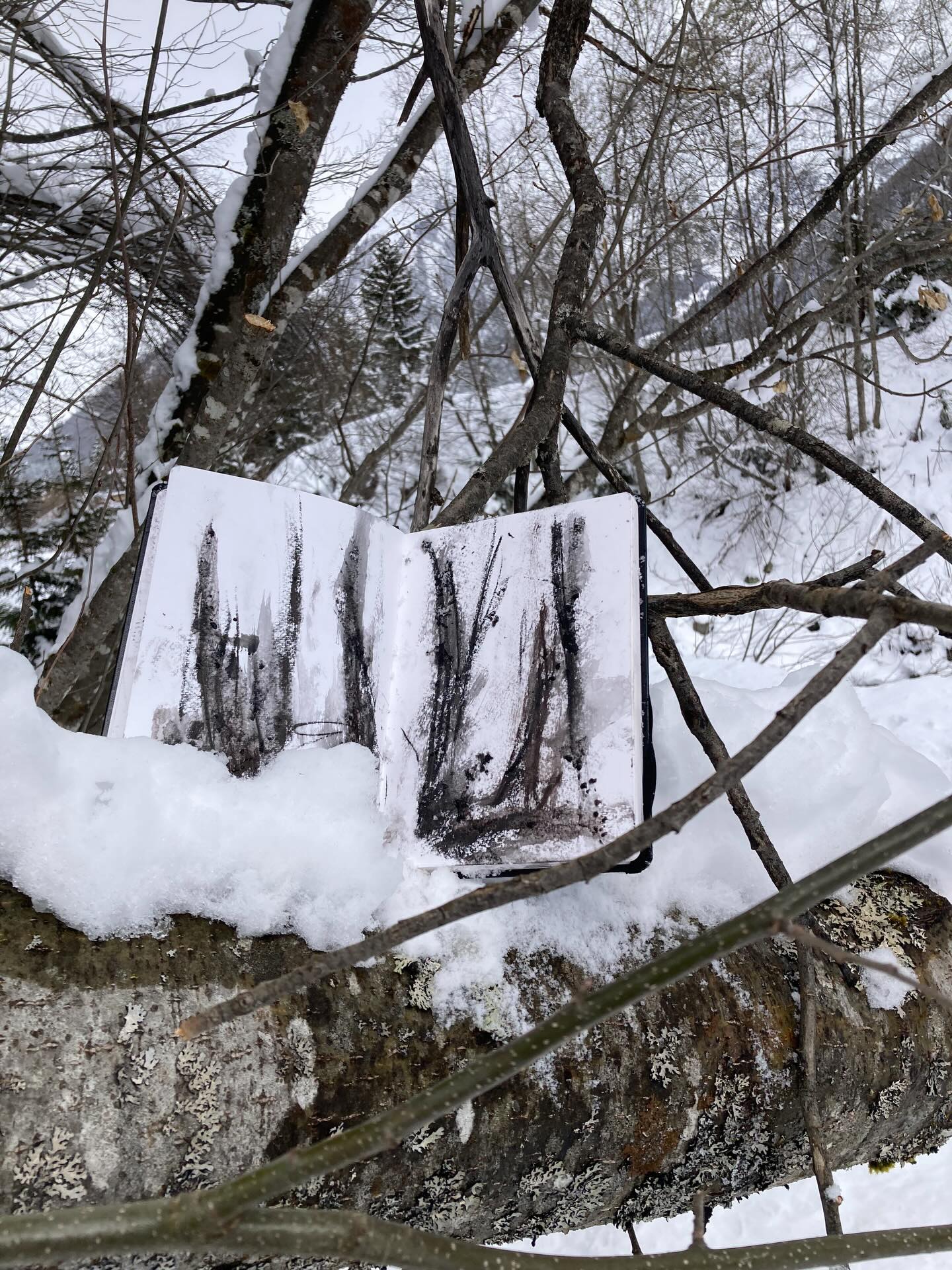 A walk by the Arveyron . Drawing with Art Graf and ice. #landscape#chamonixmontblanc🇫🇷